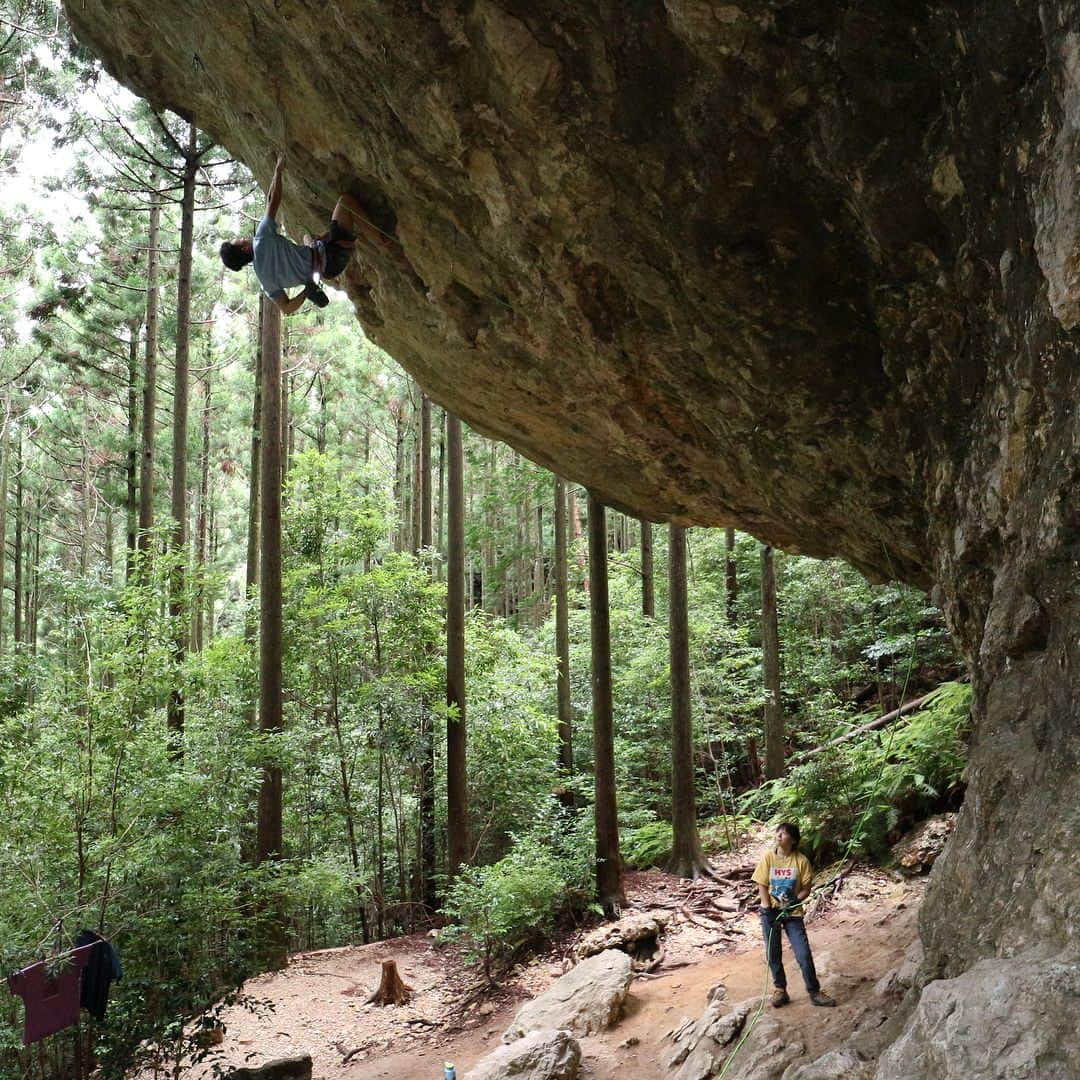 濱田健介さんのインスタグラム写真 - (濱田健介Instagram)「I went to Hourai for lead climbing. It was little wet, but enjoyed some routes. It was good for the rainy season. 昨日は梅雨だけど、ぎり行けそうだな、と思って久々の鳳来。 湿気がやばくてヌメヌメだったけど、人も少なくてハイカラ岩なんて貸し切りやし、楽しかった。持久力もうちょっと戻さないとな。 @rockmasterhq  @organicclimbing  @unparallelup  @nogradjustfeeling  @camp1889」7月7日 10時48分 - hamaken87