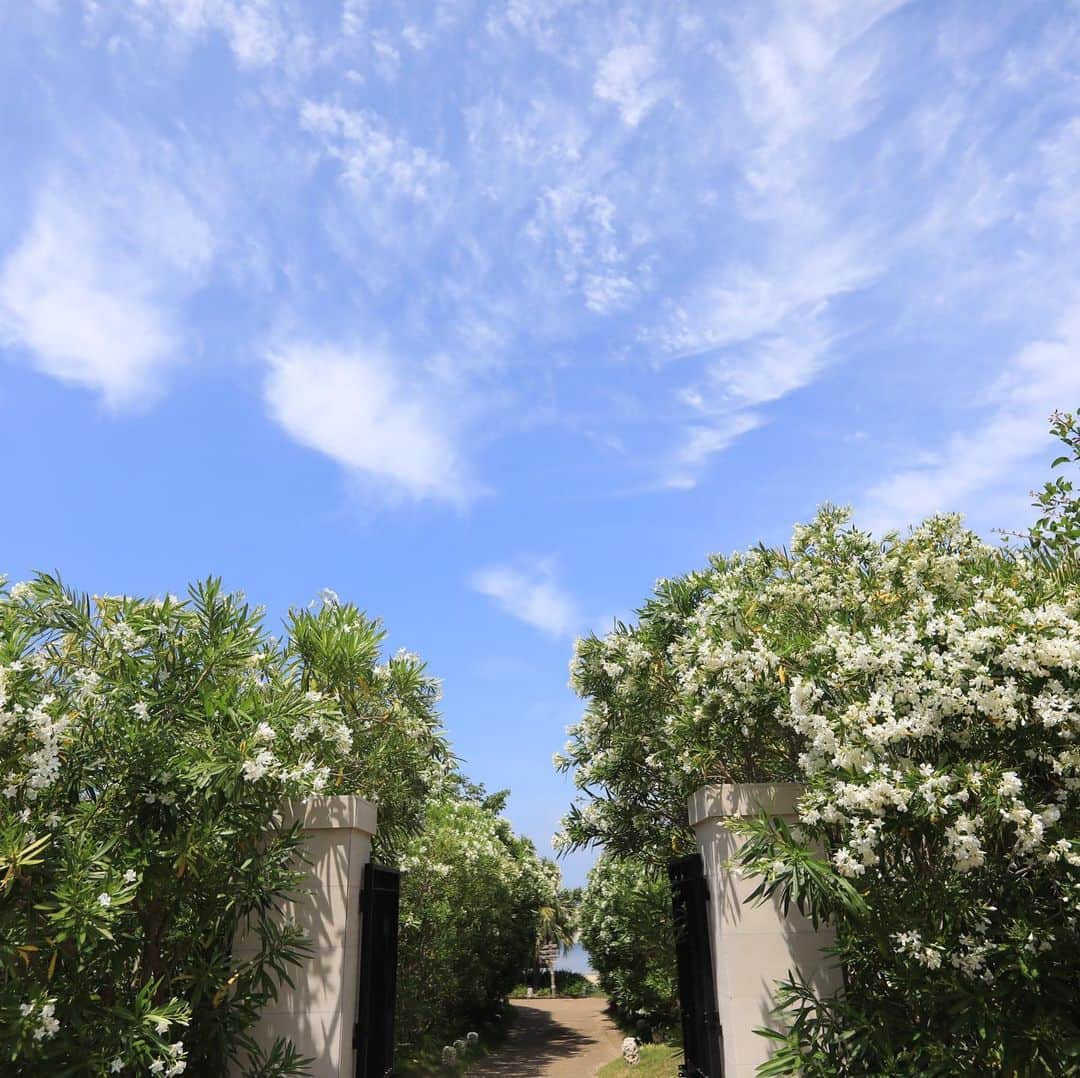 17人をフォロー中 【結婚式場】ラヴィマーナ神戸ウエディングのグルメインスタ