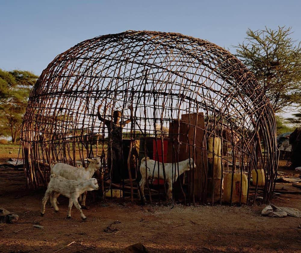 thephotosocietyさんのインスタグラム写真 - (thephotosocietyInstagram)「Photograph by David Chancellor @chancellordavid | Gabra house, northern Kenya. The Gabra, a nomadic tribe of 31,000 people, occupy territory east of Lake Turkana in Kenya, along the edge of the Chalbi Desert, extending to Ethiopia. For the Gabra, to live in balance with a trying environment they protect land, animal, and fellow Gabra. Thus, they practice certain food and plant taboos, preserve full-grown trees called "korma" (bulls), and revere pregnant women and pregnant animals. As resource managers, they migrate to the highlands during the rainy season to allow the dry season pasture to replenish its water resources, taking homes, livestock, and all possessions with them. Perhaps most symbolic of the Gabra's identity is the proverb: "a poor man shames us all." Since mutual support is imperative for their survival as nomads, no Gabra may be allowed to go hungry, go without animals, or be refused hospitality or assistance. A person who refuses to help others is labeled "al baku," a stigma that stays affixed to the family for generations. #withbutterfliesandwarriors #northernkenya #kenya #conservation #conserving #fightingextinction @everydayextinction」7月7日 11時15分 - thephotosociety