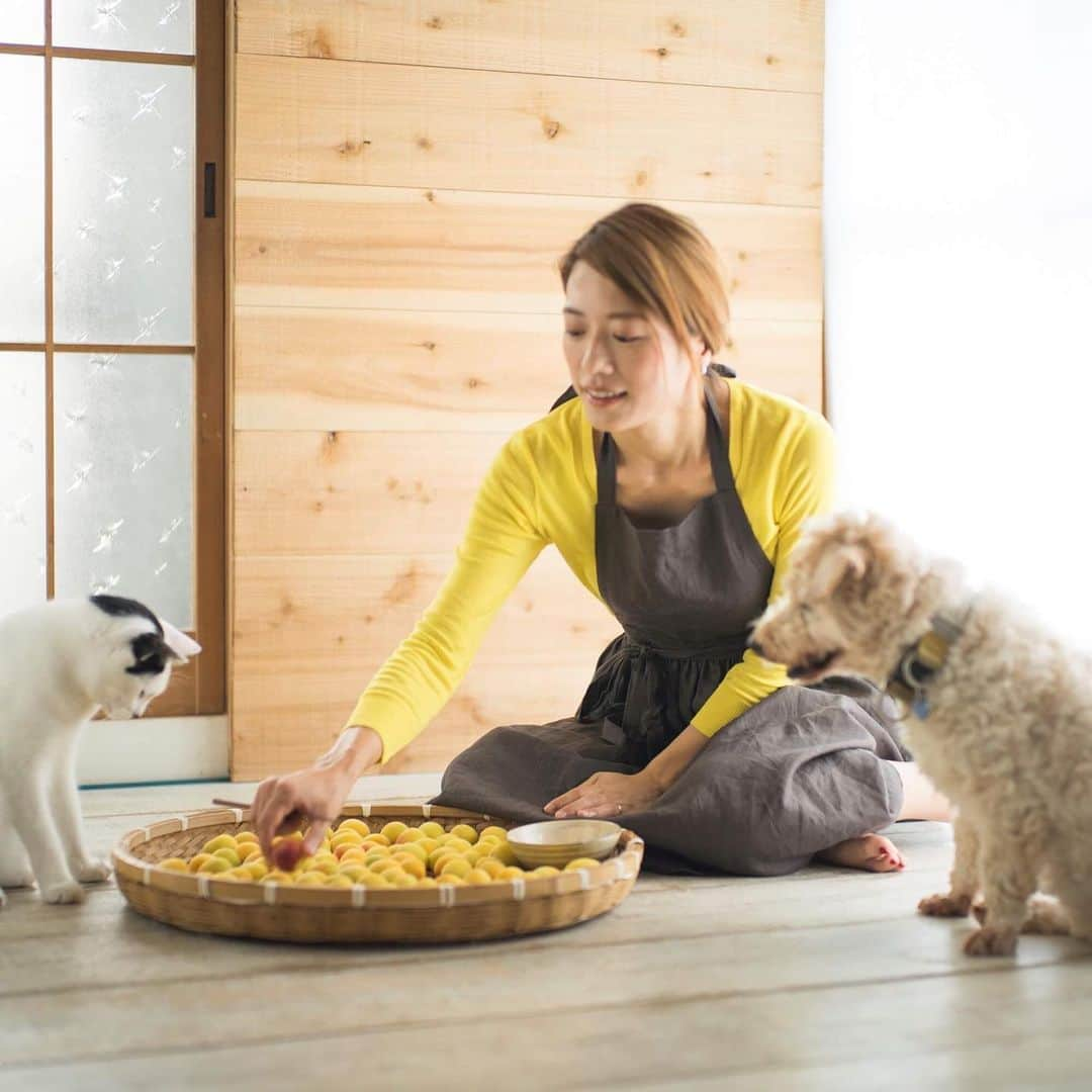 kaicoのインスタグラム：「kaicoと南高梅  ふわふわの家族に手伝ってもらいながら 丁寧にホシ(軸)を取る  なんて 可愛い時間だろう  みんなのおかげで 美味しいジャムになるよ  #梅 #南高梅 #ume #梅とわたし #〇〇とわたし #me #vegitable #fruits #food #sweets #homemade #foodstagram #フードスタグラム #art #野菜 #果物 #ときめき #sparkjoy #ルクルーゼ #丁寧な暮らし #季節の手しごと #梅雨 #いぬとわたし #ねことわたし #犬と猫のいる暮らし #husbandphotographer #エッセイ #嫁グラフィー #嫁グラフィーの嫁 #甲斐麻美」