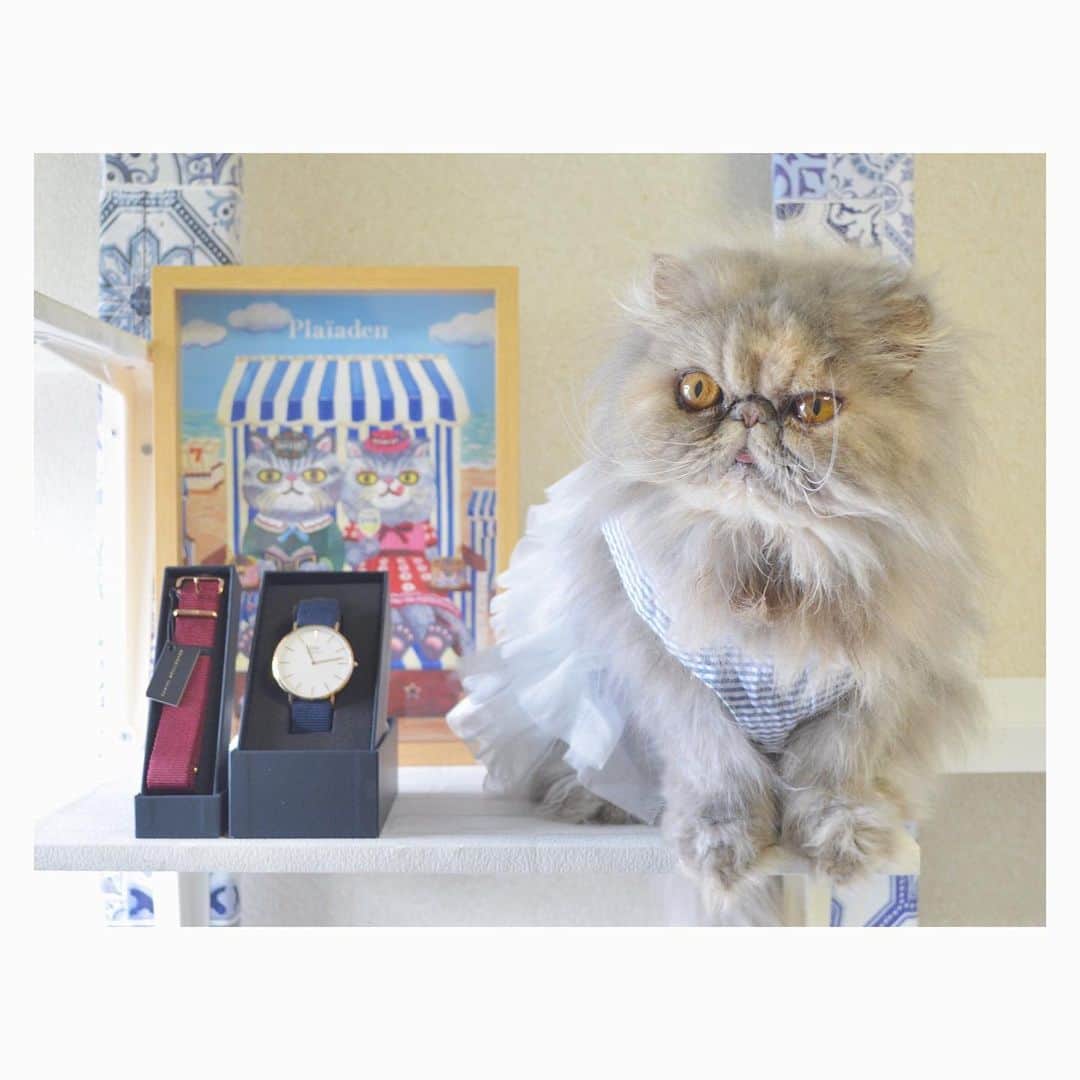 and myuのインスタグラム