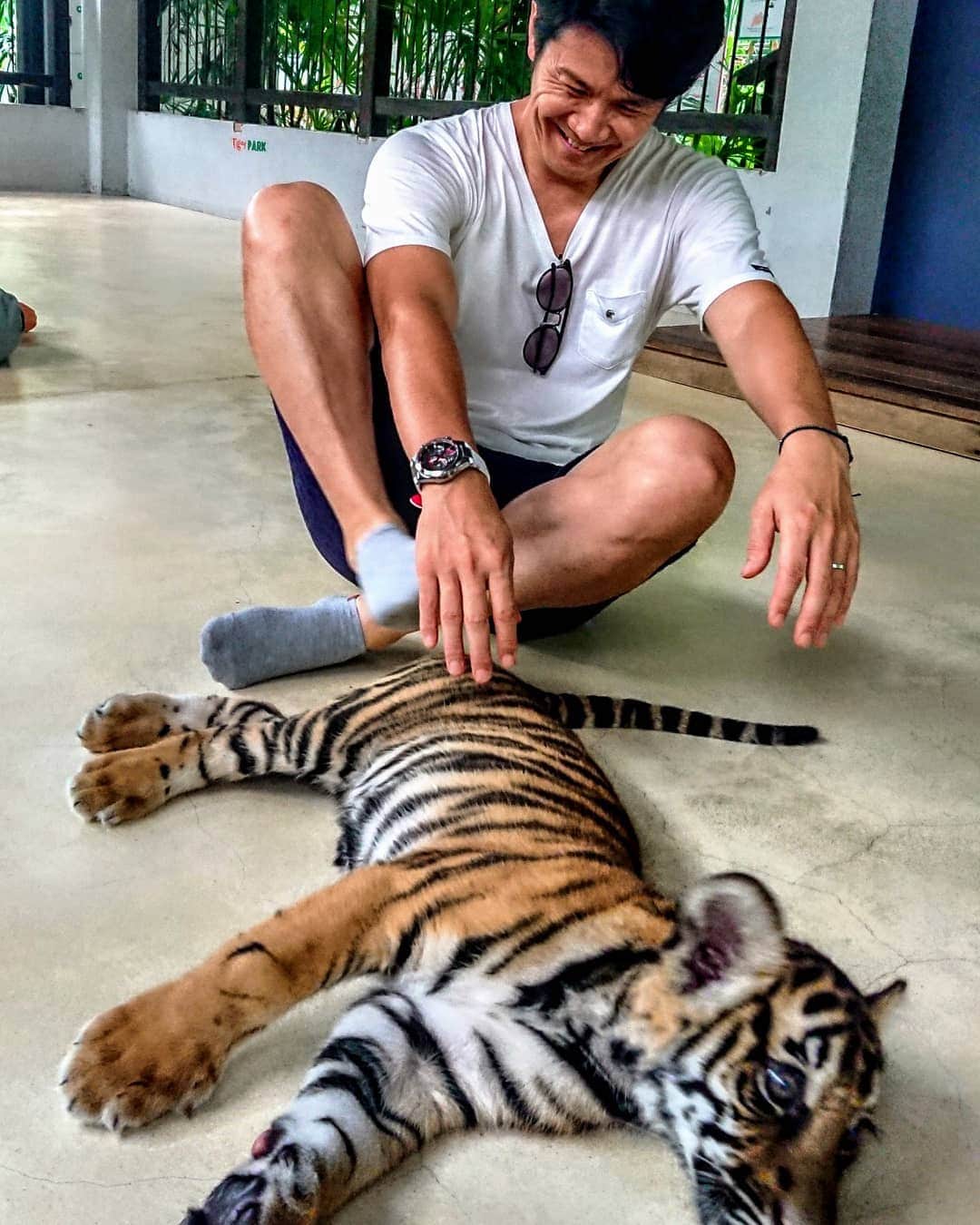 中野信治さんのインスタグラム写真 - (中野信治Instagram)「Baby Tiger !! 子供の頃のトラウマでずっと動物に触れなかった私にまさかトラと触れあえる日がくるなんて。。 So cute ❣️ #tiger  #thailand  #虎  #欲しい！」7月7日 17時40分 - shinjinakano