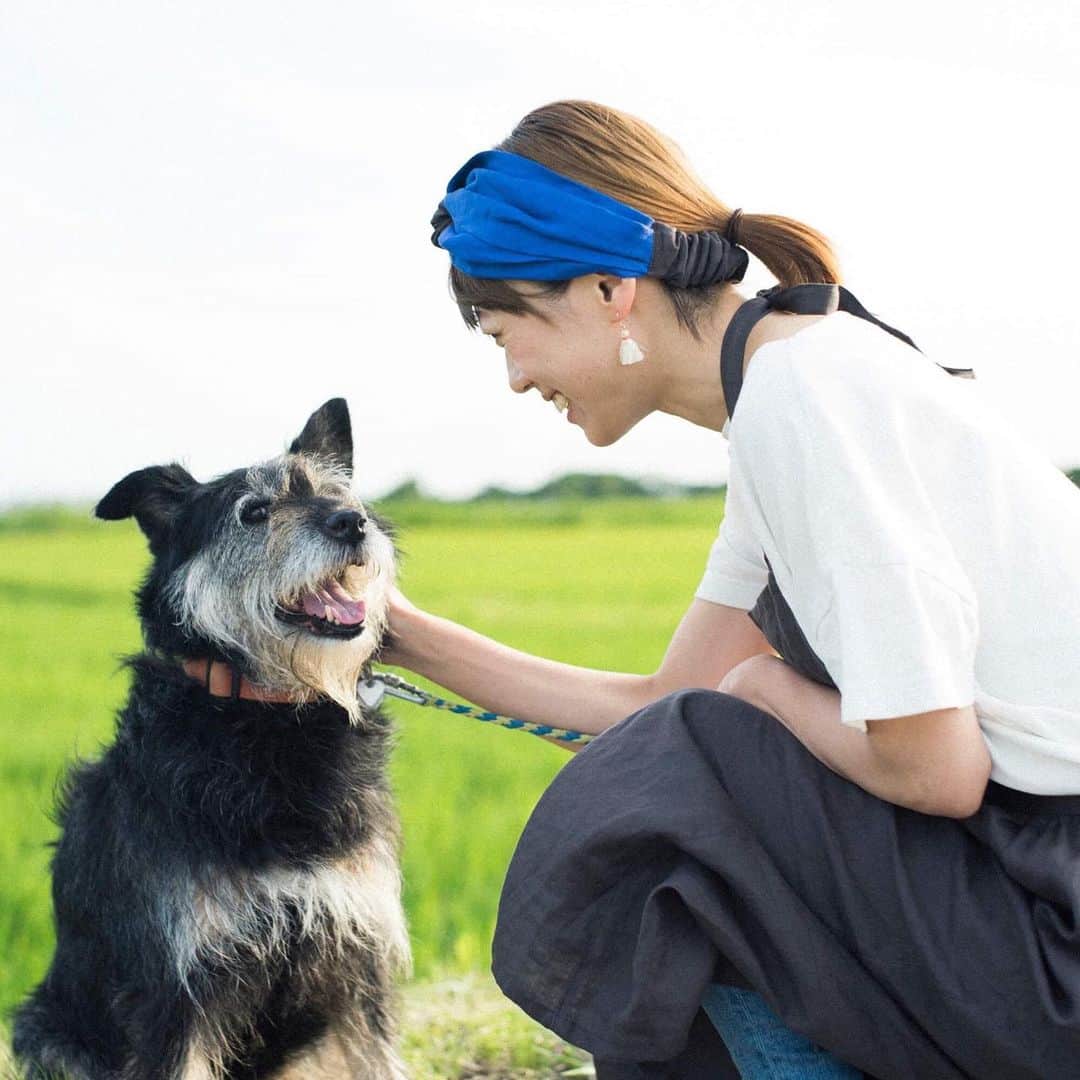 のインスタグラム：「昨日は 初めてのインスタライブでしたが、沢山の方に関わって頂けて嬉しかったです🙏✨ 始める直前は心臓がバクバクいってて（笑） いや、何をする気？ってくらい高鳴ってました  見返して思ったんだけど、だんだん顔が赤くなってましたね（笑）酔ってないのに、見た目完全酔っ払い… あとなんか…いや、色々あるわ…うん、気をつけよう🙃🙃🙃 家で一人だと、ほんとに喋らないから(犬猫とは話すけどw)インスタライブは、いいですね。 とてもとても楽しかったです。  ただ、hatoがいる時は恥ずかしいな。。。 まだしばらく帰って来ないので、近いうちにまたロンリーナイトライブやっちゃいますかね。  昨日はオドちゃんだけ登場しなかったので、次回は必ずオドも出演してもらいます😝✨ ありがとうございました〜！ #いぬとわたし #犬との暮らし #ロンリーナイト #ロンリーナイトライブ」