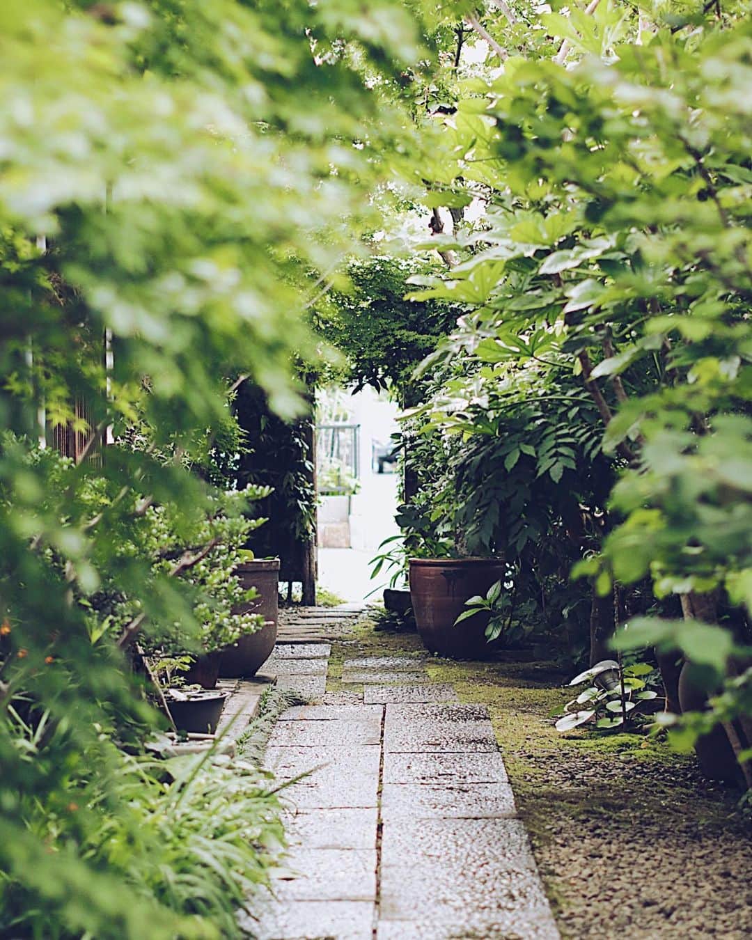 フランスアンティーク ランスタンのグルメインスタ