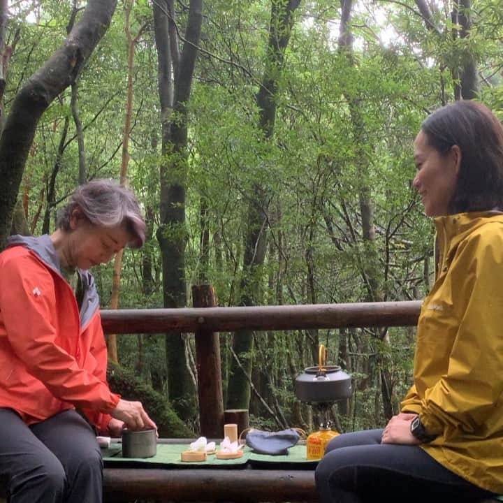 HiRAO INCのインスタグラム：「. Nodate  屋久島の苔むす森の中での野点は格別でした。  期せずして、先日日本でエキシビションを開催した、 Thom Sachsの"ティーセレモニー"のような世界に。 あー楽しかったな。」
