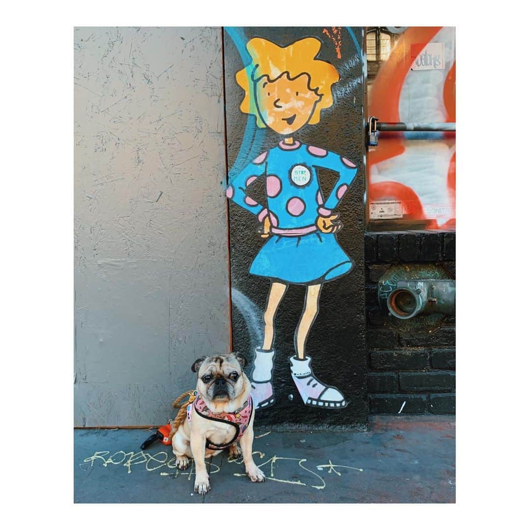 Melissa Santiagoのインスタグラム：「Pig & Patty . . . . . . #LeicaHarrietPancakes #DailyPug #pattymayonnaise #90sfashion #Pug #pugsofinstagram」