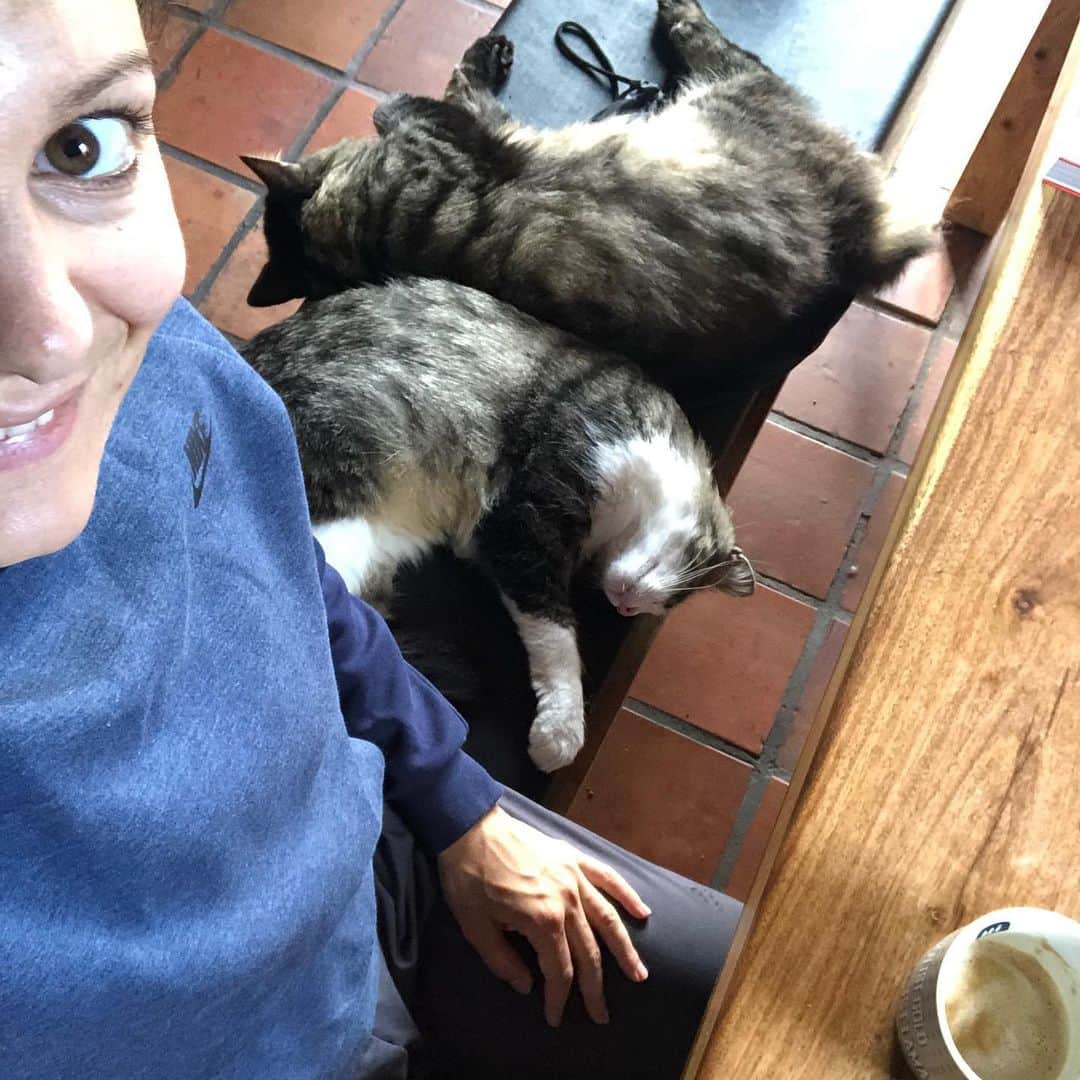 サラ・マイアーさんのインスタグラム写真 - (サラ・マイアーInstagram)「My favourite kind of morning: coffee&cats ☕️🐈🥰 . #sunday #sundaymood #cozy #coffeeandcats #catselfie #coffeeandcuddles #earlybirds #lazybirds」7月7日 15時03分 - sarah.van.berkel