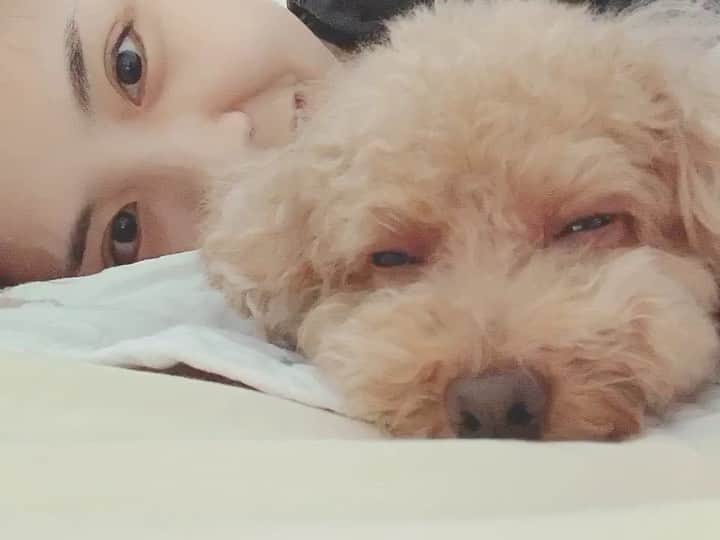 阿部真央のインスタグラム：「からの帰京。 lazy afternoon ♡」
