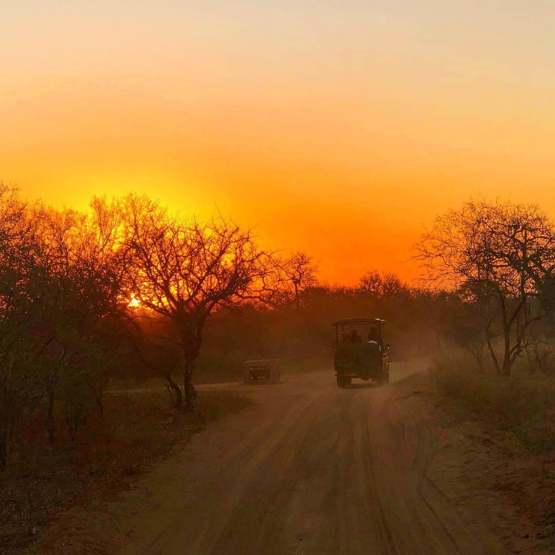 マキ・コニクソンさんのインスタグラム写真 - (マキ・コニクソンInstagram)「南アフリカ サバンナの夕陽。例えようのない燃えるようなオレンジ色。今日は早朝からずっとロケ。 しーちゃん、ローリー&スタッフの皆さま炎天下の中よく働きましたね！ 大変お疲れ様でした！👍🏼 #南アのおすそ分け🇿🇦#アフリカの夕陽 #坂上どうぶつ王国」7月8日 1時42分 - makikonikson