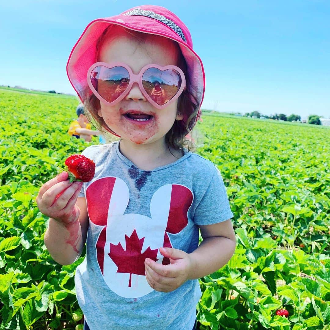 メーガン・デュアメルさんのインスタグラム写真 - (メーガン・デュアメルInstagram)「Strawberry Picking 🍓🍓🍓 #watsonfarms #strawberries #Canadiansummer @heatherraili」7月8日 1時56分 - meaganduhamel