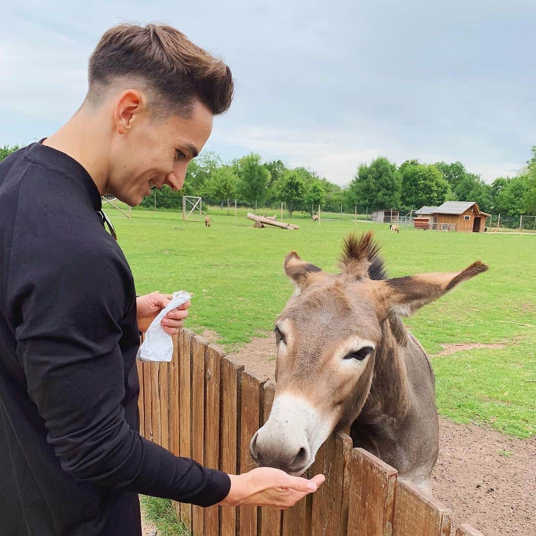 マゼル・ニューエンのインスタグラム：「Two of a kind 🃏 Have a nice sunday evening everyone! 😊 ——————————— #sunday #weekend #summer #donkey #themarcelnguyen #gymnastics」