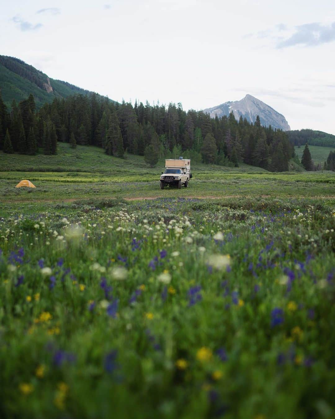 マディさんのインスタグラム写真 - (マディInstagram)「Edward Abbey had it so right when he wrote that wilderness is not a luxury but a necessity for the human spirit.⁣ ⁣ I hope if y’all take away anything from our little bit of time together over the years is that dogs make life better & public land is worth protecting! Public land is for us all! It’s for us all to project, enjoy, love, and hopefully become better stewards of.⁣ ⁣ We can all wake up to views like this because folks before us were wise and knew we had to keep land off the private market. You’d need millions and millions of dollars to get a view like this, but public land is for all! Today we can give thanks that the gate isn’t locked. ⁣ ⁣ We must keep protecting what is for all and not the few ✨」7月8日 1時52分 - thiswildidea