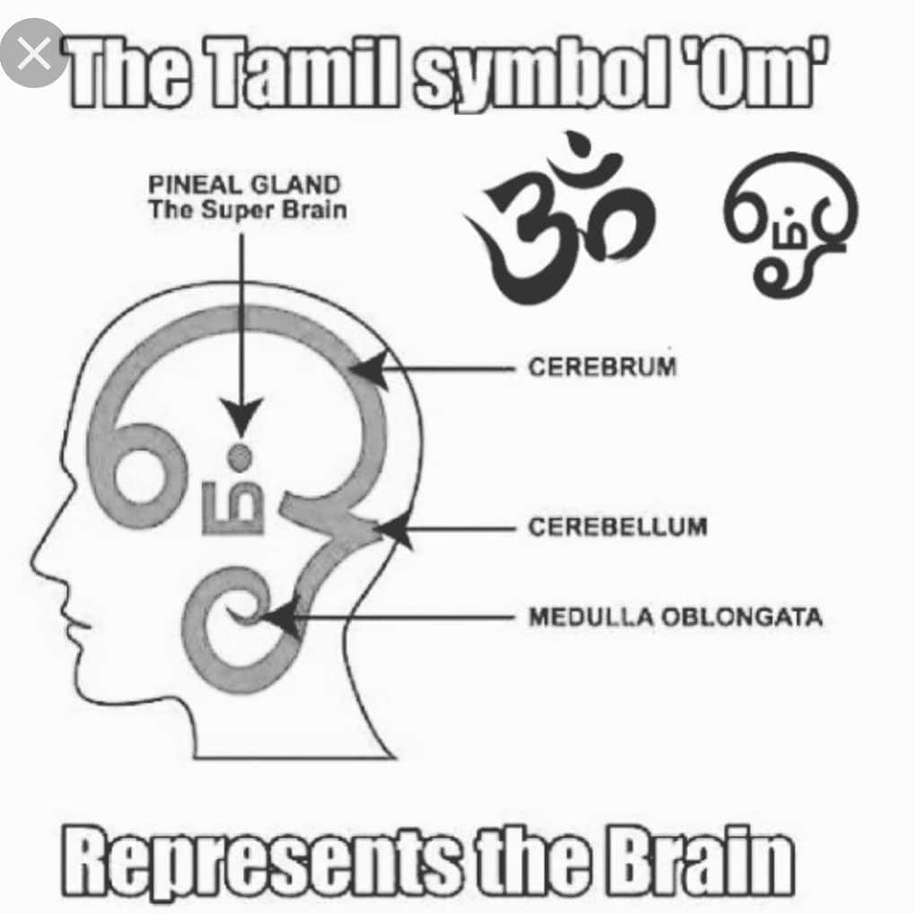 M.I.A.さんのインスタグラム写真 - (M.I.A.Instagram)「This is the LEVELS TAMILS operated on.  This symbol starts at the eye round the brain to your throat to make the sound of the vibration of the ohm sound which ends at the awakened  3rd eye pinal gland . This  civilisation  believed  that the universe was created with a sound vibration. This  letter itself shows the traveling of the vibration around the head.  THIS IS WHY SOUND isn't simply content that accompanies a product.  It's  significant to mine and your entire exsistance .  #MATANGI  This is not a religious post  First tamil Sangam period was between 9600 BCE to 5200 BCE. Way older then Hinduism as it's known today or the Vedas.」7月8日 2時48分 - miamatangi