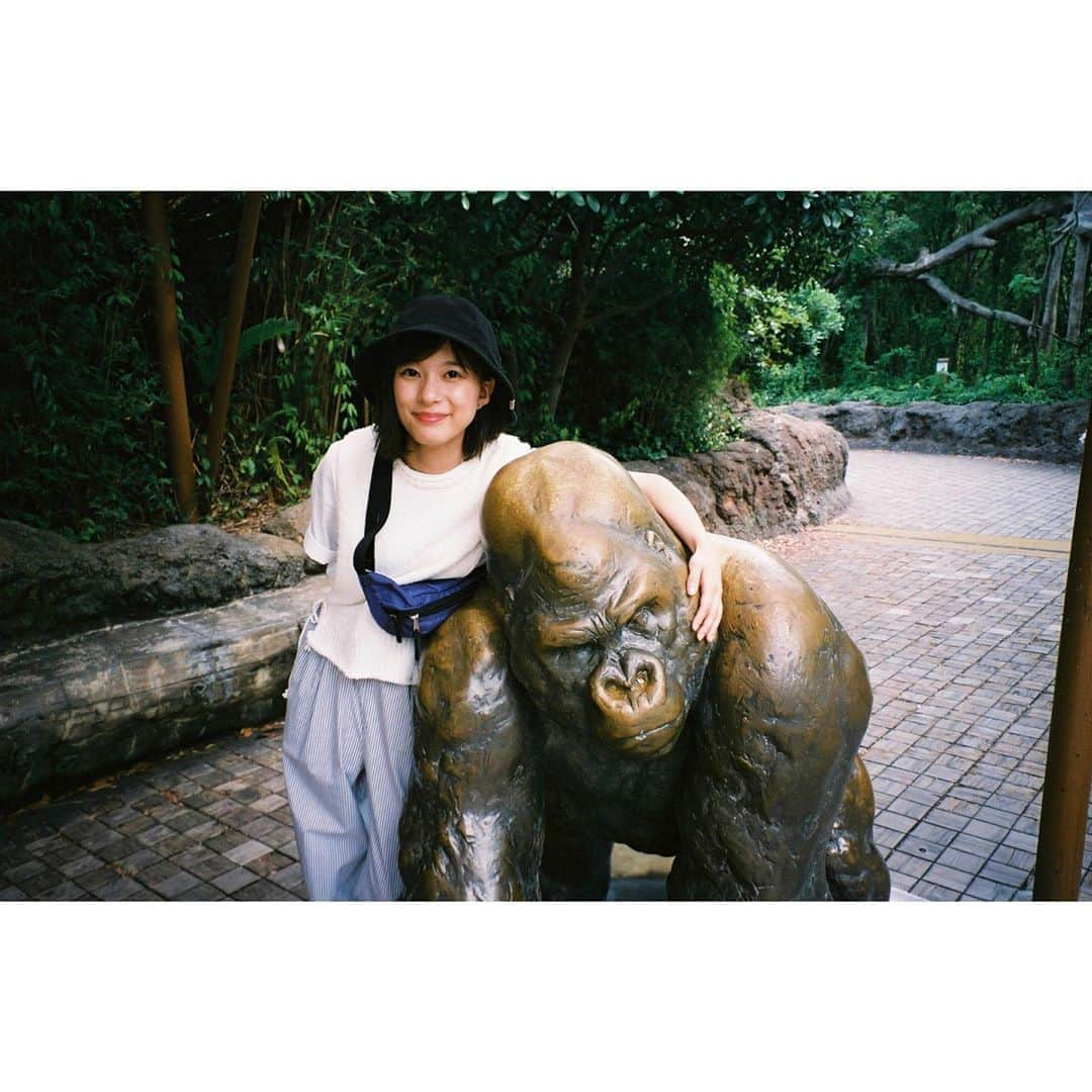 芳根京子さんのインスタグラム写真 - (芳根京子Instagram)「この前シャンシャンに 会いに行ったの🐼  #film」7月7日 17時52分 - yoshinekyoko