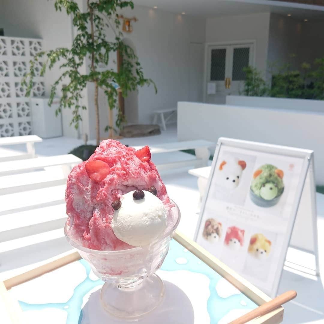 MERYのグルメインスタ