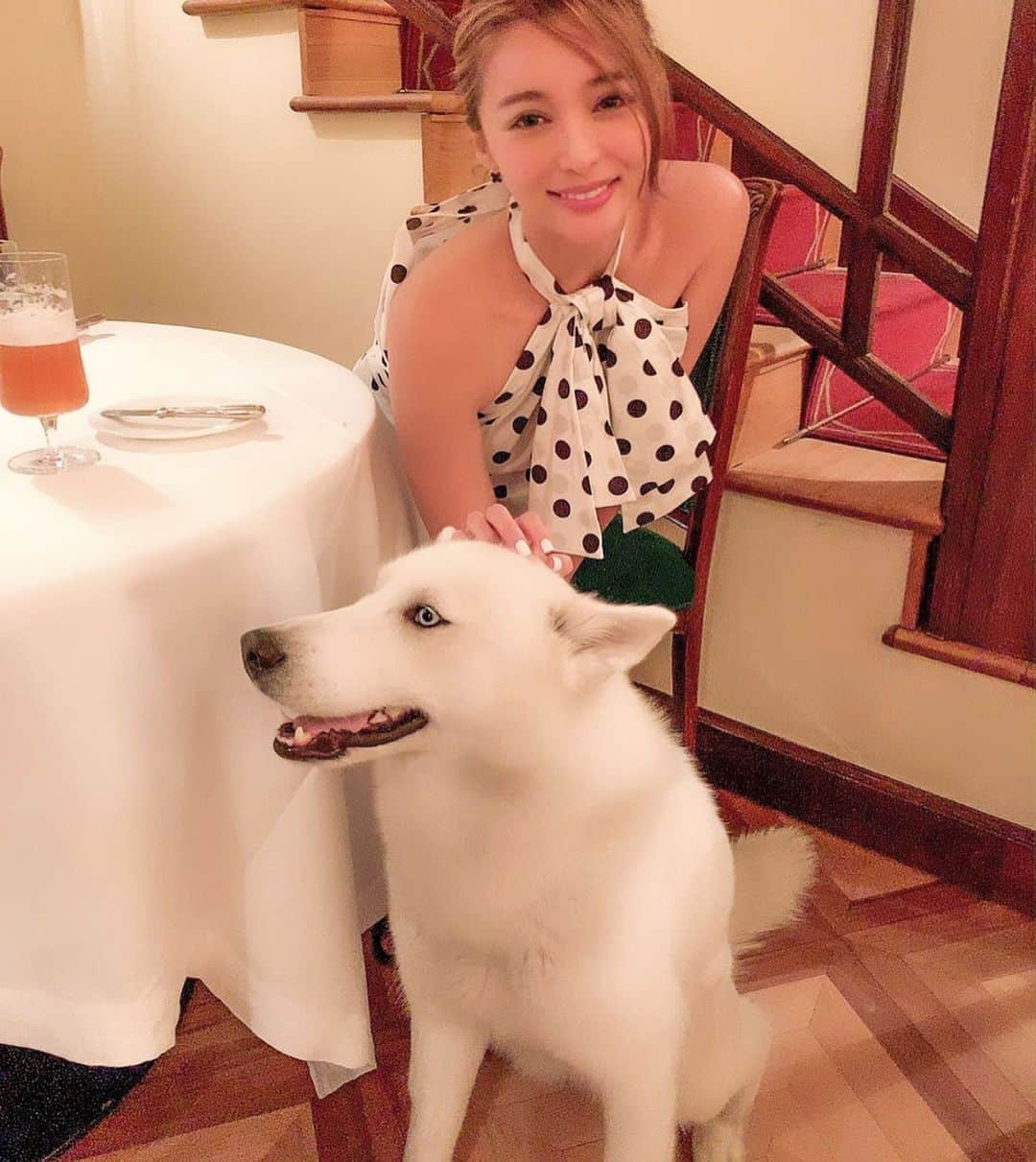 濱野りれさんのインスタグラム写真 - (濱野りれInstagram)「Grand Hotel et de Milan's mascot dog 'Bianca' ❤︎ I don't know she is dog or wolf but she is sooo adorable and satisfied my desire to hold dog🐶💗 Swipe➡︎ Pretended not to notice that she is staring the Pasta I ordered...🤭 .. ホテルのレストランに行ったら🐕ちゃんが💗 狼なのか犬なのか...獣の匂いにとっても癒されました☺️ ピザに鋭い目を向けてたのは気づかないふり🤭🔥 .. .. #ristoranteitaliano#doncarlos#grandhoteletdemilan#hotelstay#luxuryhotel#italytrip#luxurytrip#milanotoday#milanitaly#igmilano #milano_in#milanogram#asianbabe#asiangirls#japanesegirl##ミラノ#イタリア旅行#ヨーロッパ#ホテル#ヨーロッパ旅行#ヨーロッパ周遊 #giapponese#asiatica」7月7日 19時21分 - riregram