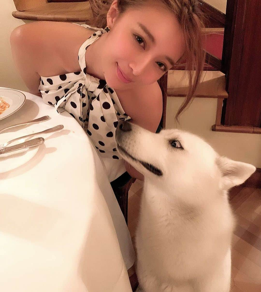 濱野りれさんのインスタグラム写真 - (濱野りれInstagram)「Grand Hotel et de Milan's mascot dog 'Bianca' ❤︎ I don't know she is dog or wolf but she is sooo adorable and satisfied my desire to hold dog🐶💗 Swipe➡︎ Pretended not to notice that she is staring the Pasta I ordered...🤭 .. ホテルのレストランに行ったら🐕ちゃんが💗 狼なのか犬なのか...獣の匂いにとっても癒されました☺️ ピザに鋭い目を向けてたのは気づかないふり🤭🔥 .. .. #ristoranteitaliano#doncarlos#grandhoteletdemilan#hotelstay#luxuryhotel#italytrip#luxurytrip#milanotoday#milanitaly#igmilano #milano_in#milanogram#asianbabe#asiangirls#japanesegirl##ミラノ#イタリア旅行#ヨーロッパ#ホテル#ヨーロッパ旅行#ヨーロッパ周遊 #giapponese#asiatica」7月7日 19時21分 - riregram