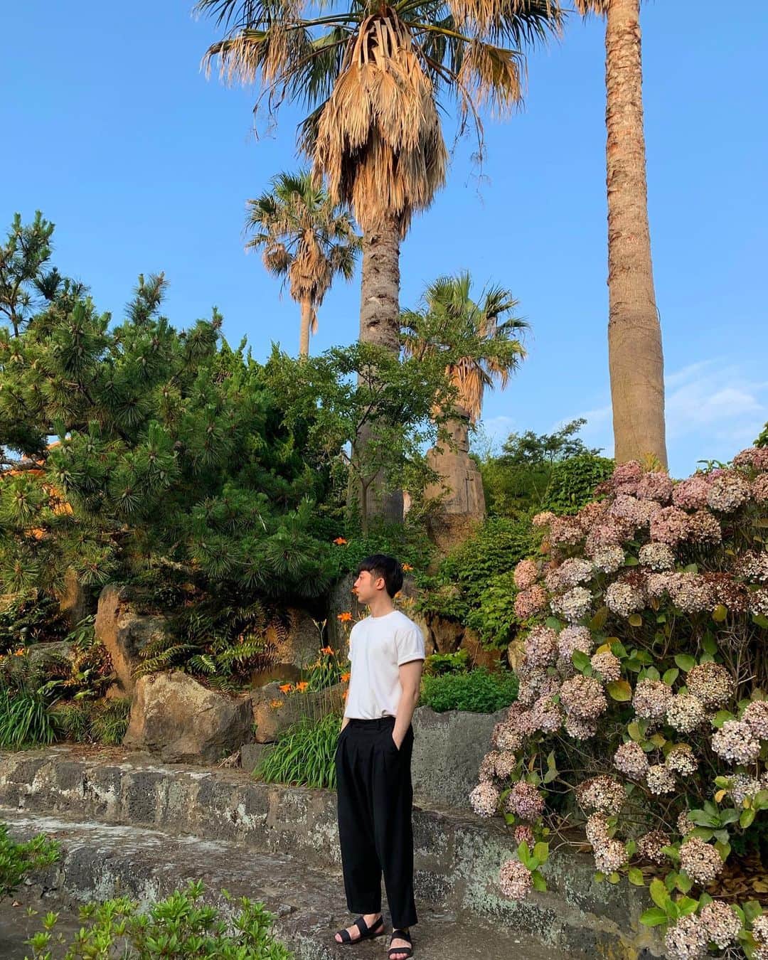 ティケイのインスタグラム