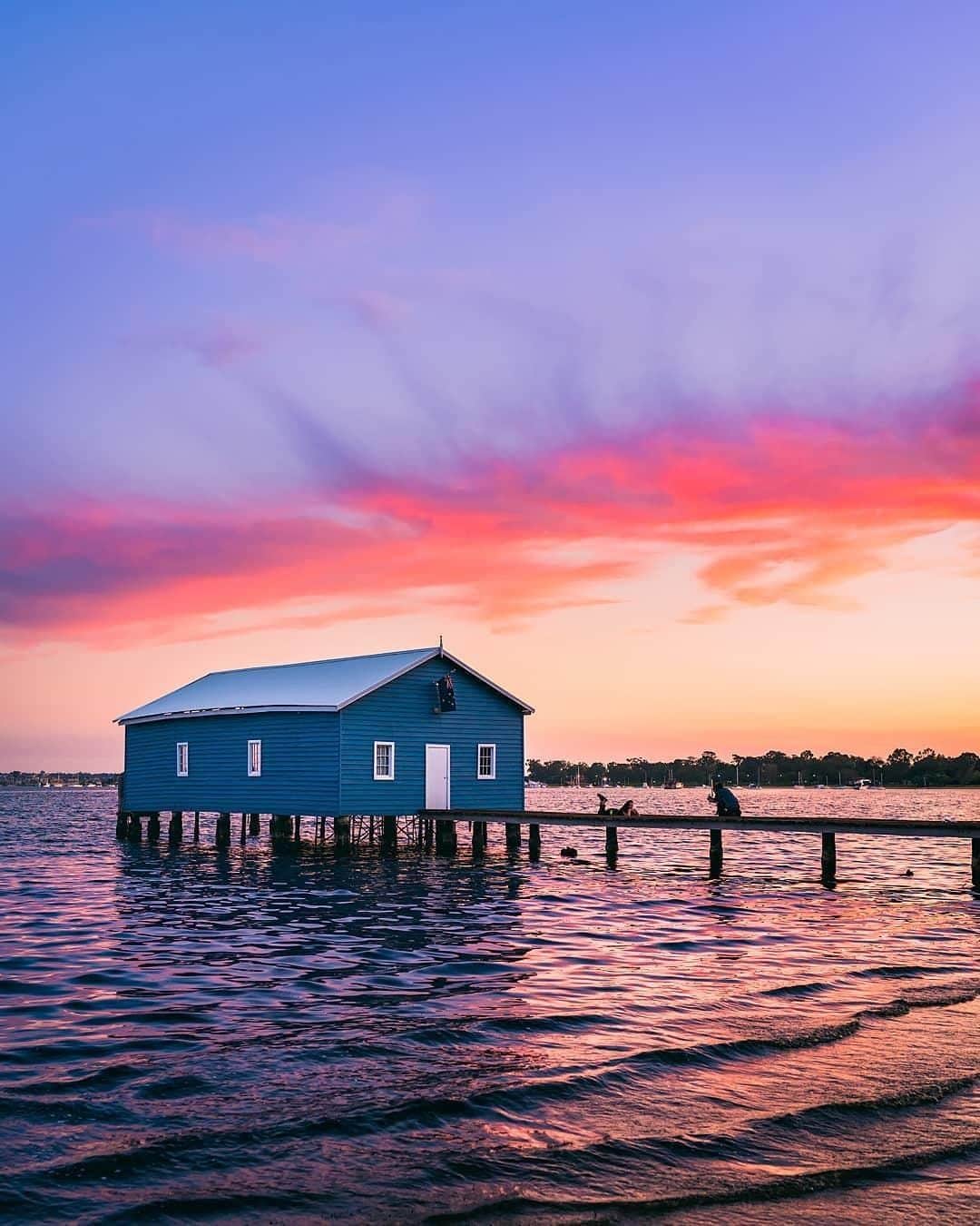 Australiaさんのインスタグラム写真 - (AustraliaInstagram)「Could this be the most photogenic boathouse in #Australia? 😍 @danniexdough captured this mesmerising shot at @westernaustralia’s #CrawleyEdgeBoatshed, more commonly known as the #blueboathouse, an Insta-famous landmark in @destinationperth that’s only 10 minutes from the city. Located just below #KingsPark, it’s an excellent spot to watch the sunset by the #SwanRiver. After a photoshoot here (you know you want to 😉), stroll up to @zafferanoperth or @theoldbrewery for some riverside drinks and dinner to kick-start your night.  #seeaustralia #justanotherdayinwa #seeperth #travel #architecture」7月7日 20時00分 - australia