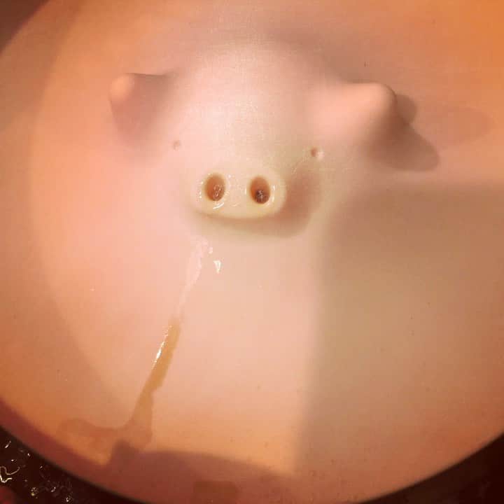 南條早紀のインスタグラム：「ぶひぶひ🐷 . #ぶたの落としぶた  ひとり暮らし始めるときにひとめぼれして買ったもの💓 （取りだすときは鼻の穴に菜箸。便利！痛そうだけど🙏） . ぶたさんに頑張ってもらって作ったのは #ぶり大根  なぜなら、ぶりのあらが#激安 だったから🐟゛ . 夏のブリもおいしかったです✨ . . #富山 #富山県 #とやま #魚 #さかな #ブリ #ぶり #ブリ大根 #落としぶた #落し蓋 #ぶた #ブタ #🐷 #調理器具 #かわいい #手料理 #夕飯 #和食 #料理初心者 #料理上手になりたい #南條の日常」