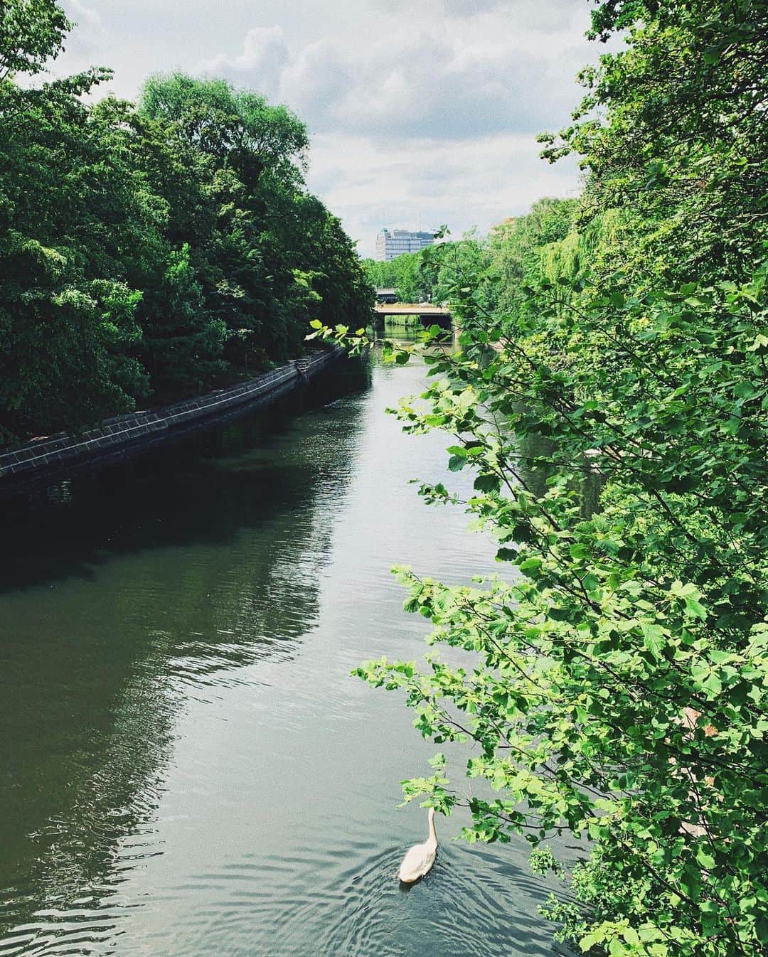 STIL IN BERLINのインスタグラム：「Real Berlin summer.」
