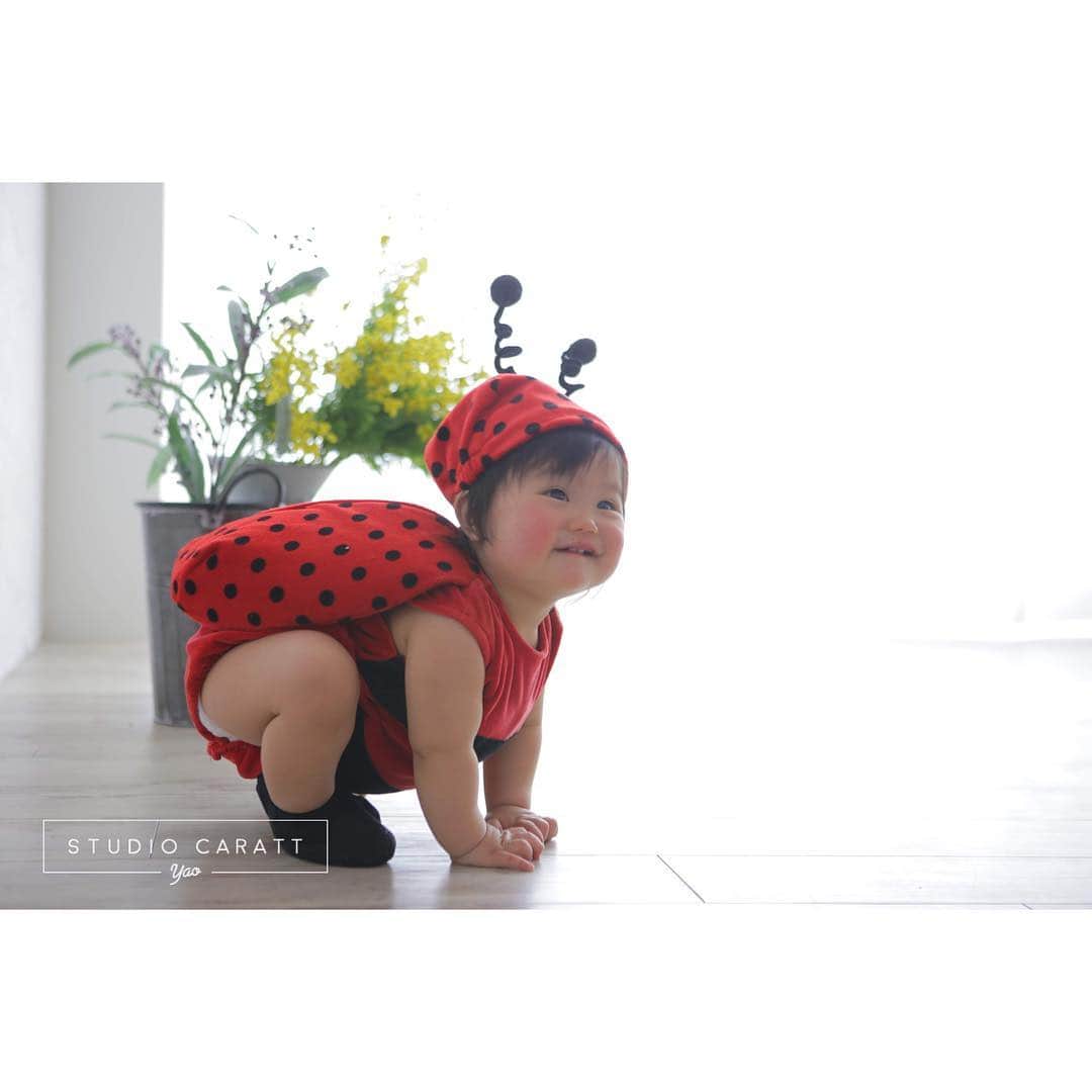 のインスタグラム：「. . 今にも飛びそう💨✨ . . . #studiocaratt #caratt #photostudio #photo #大阪 #八尾#アリオ八尾 #camera #キャラット #スタジオキャラット #写真館 #フォトスタジオ  #スタジオリニューアル #リニューアル #baby #babyphoto #babystyle #てんとう虫 #着ぐるみ #着ぐるみ撮影 #バースデー #birthday #birthdayphoto #誕生日 #instagood #ig_kids #instalike #kids_japan_ootd」