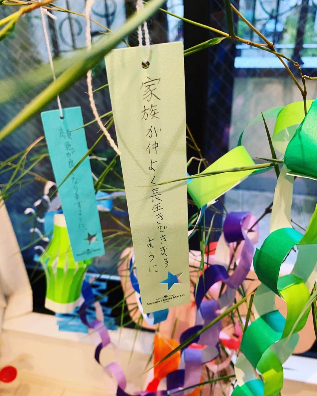 五月女ケイ子のインスタグラム：「前がはる、後ろがわたしの願い事。 #七夕#短冊」
