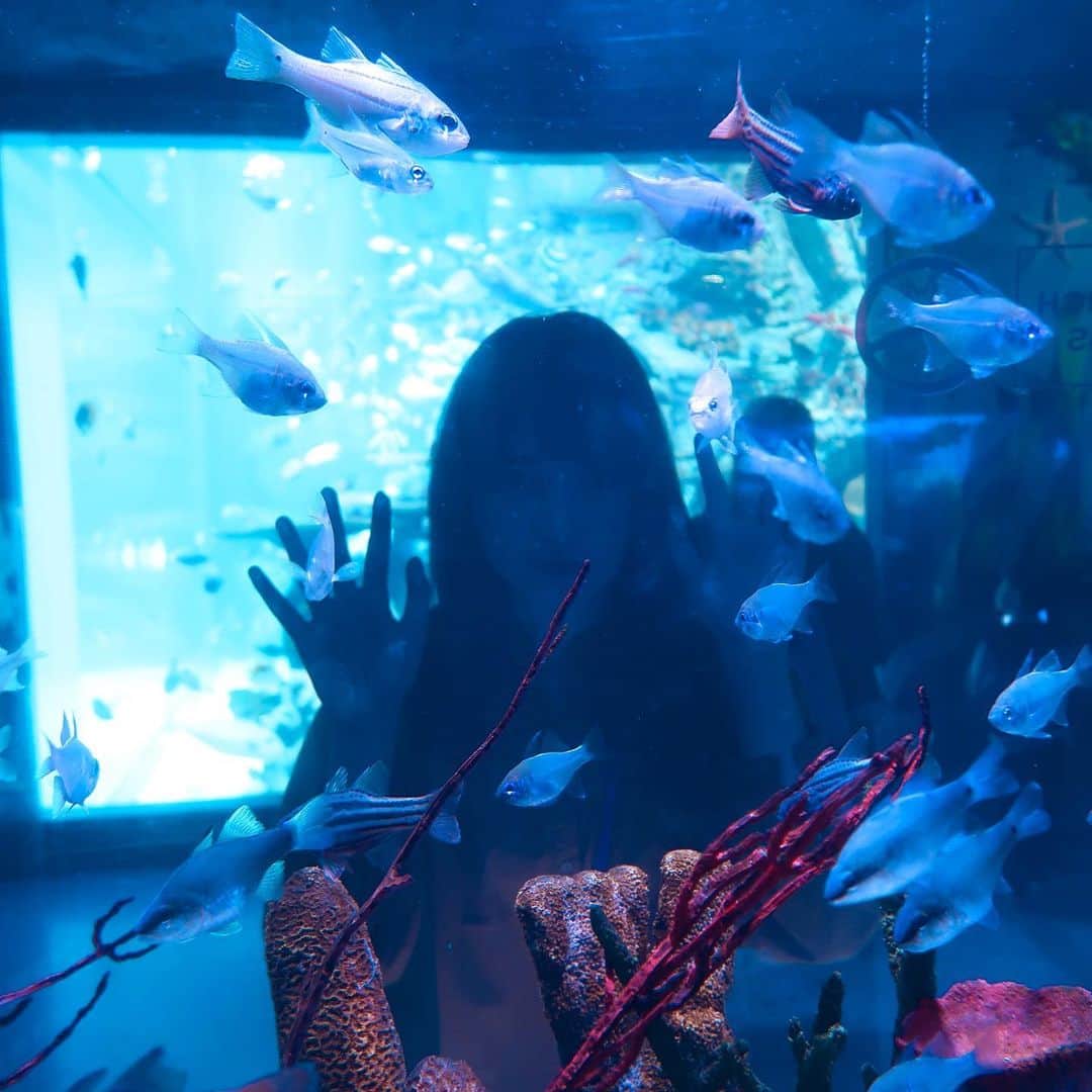 デフィ・キナル・プトリさんのインスタグラム写真 - (デフィ・キナル・プトリInstagram)「I see you! 👁👁 . so so nakutin orang padahal gue juga takut😂 . . #kinal #aquarium #fish」7月7日 20時35分 - kinalputridevi