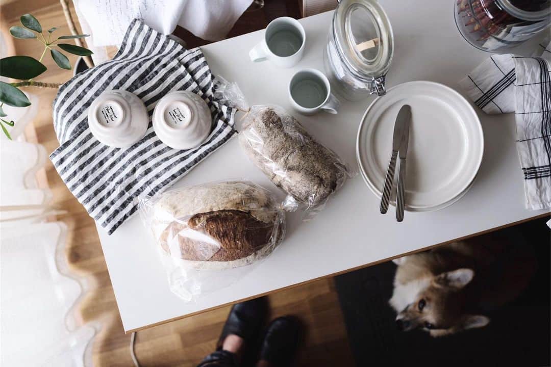 maggydaisyのインスタグラム：「_  田舎パンとカンパーニュ  これだけあっても あっという間に無くなる…  #KANELBREAD  #maggydaisymore20190707 #corgi #コーギー #里親 #犬のいる暮らし」