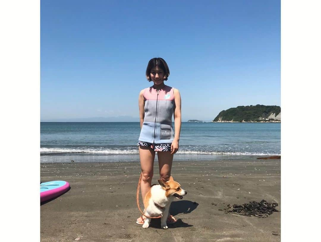 IMALUさんのインスタグラム写真 - (IMALUInstagram)「今夜9:54〜放送🏄‍♀️ フジテレビ「1Hセンス」でバルーとSUPに行かせてもらいました。 #corgi #sup」7月7日 21時25分 - imalu_0919