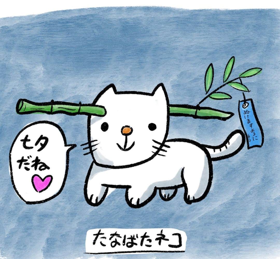  吉永龍樹のインスタグラム：「たなばたネコさん  #七夕 #たなばた #七夕の願い事 #七夕の短冊 #ねこ #ねこすたぐらむ #白猫 #笹 #短冊 #イラストグラム #僕秩」