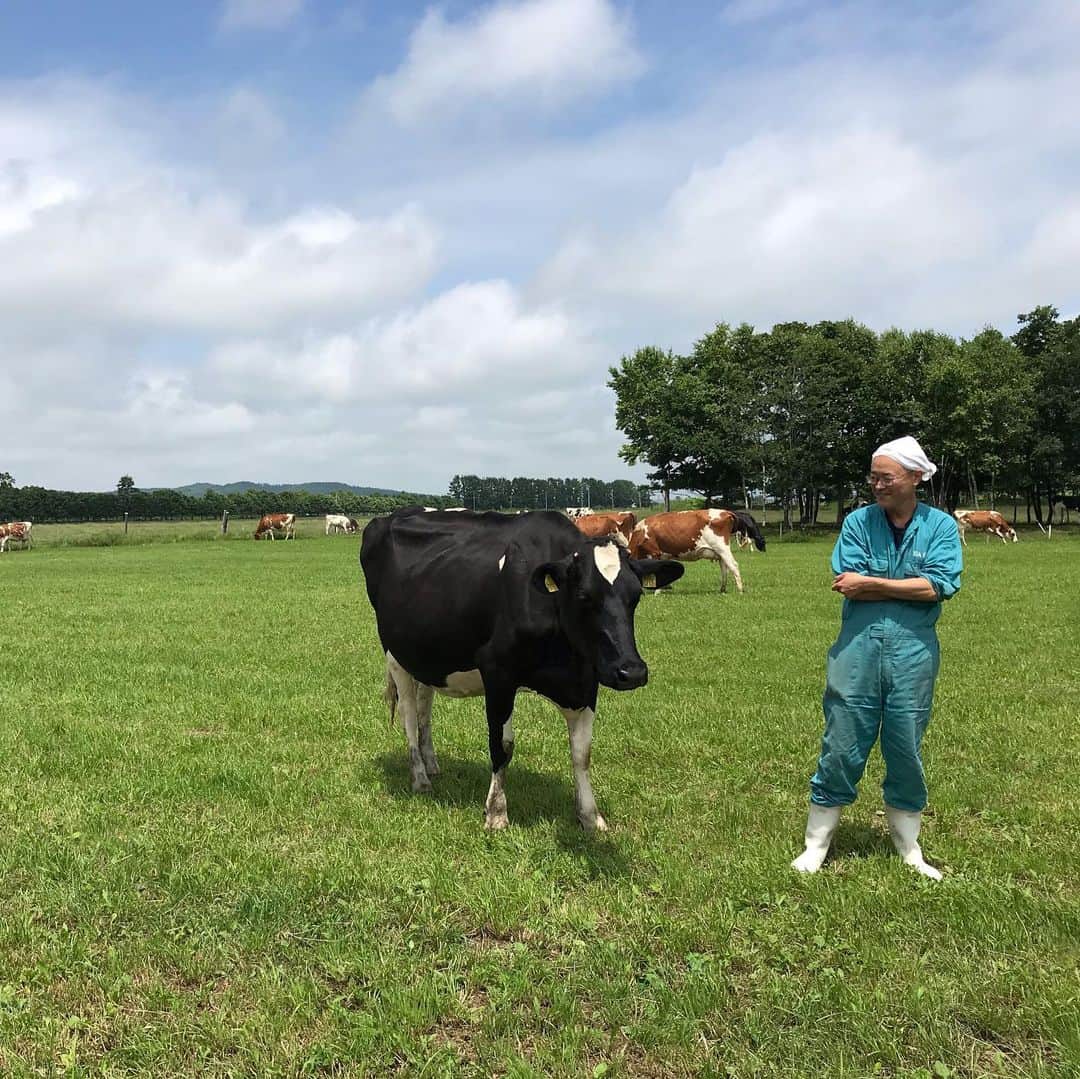 小谷あゆみのインスタグラム：「‪この世に天国はありました。‬ ‪北海道 #広尾町 #小田牧場 40haの放牧地にありました。‬ ‪5年前に初めてある部会で訪問し、専門家一堂、驚愕の感動の歓声をあげた、あの！小田治義さんの牧場！‬ ‪また訪ねて話を聴かなくてはとず〜っと思っていましたが、ようやく訪ねてきました。‬ ‪まだ希望はある。‬ ‪酪農に光はある。‬ ‪何よりわたしが清々しくなりました。‬ ‪ただし ……⁉︎‬ ‪とにかく小田さんは自由で、かつ、自立していました。‬ ‪#牛も人も動物‬ ‪#ほどほど‬ ‪#自分の頭で考える‬ ‪#放牧酪農‬ ‪#何ここパラダイスじゃないですか‬ ‪酪農家の仕事の本質を考えました‬ ‪つづく‬」