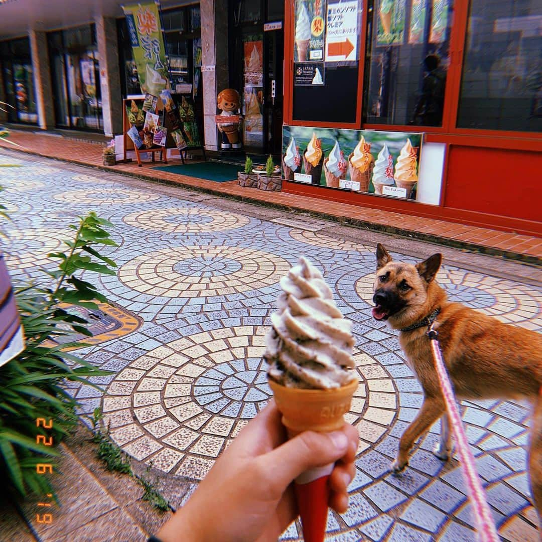 富田真紀子さんのインスタグラム写真 - (富田真紀子Instagram)「Thanks for doing life with me Nana🐶 Thanks everyone for always taking care of Nana for me 🐕💕 #1yrsbirthday 🎂 #あれからいちねん  #7月7日 #ななの誕生日 🎂 #みきからのプレゼント🎁 #ななのコルクボード #ありがとう #みんなありがとう😭❤️ #ななのいる生活 🐕」7月7日 21時44分 - makikotommy