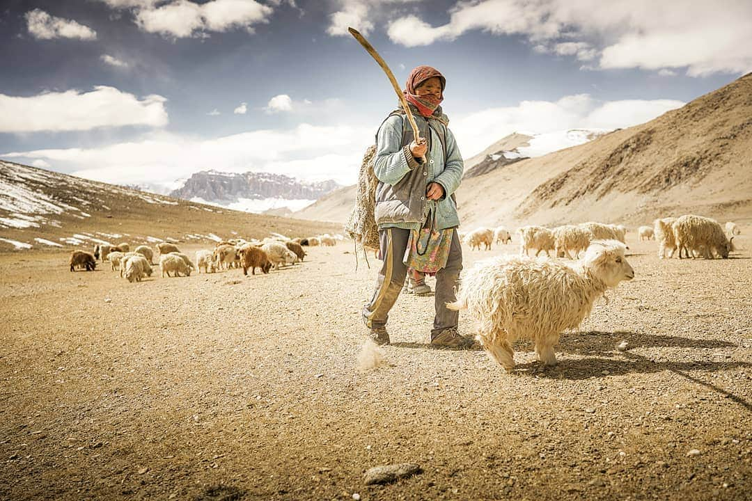 Cory Richardsさんのインスタグラム写真 - (Cory RichardsInstagram)「Changpa Nomad, Ladakh, Northern India. Shot #onassignment for #natgeo #travel #culture #india #photojournalism」7月7日 22時04分 - coryrichards