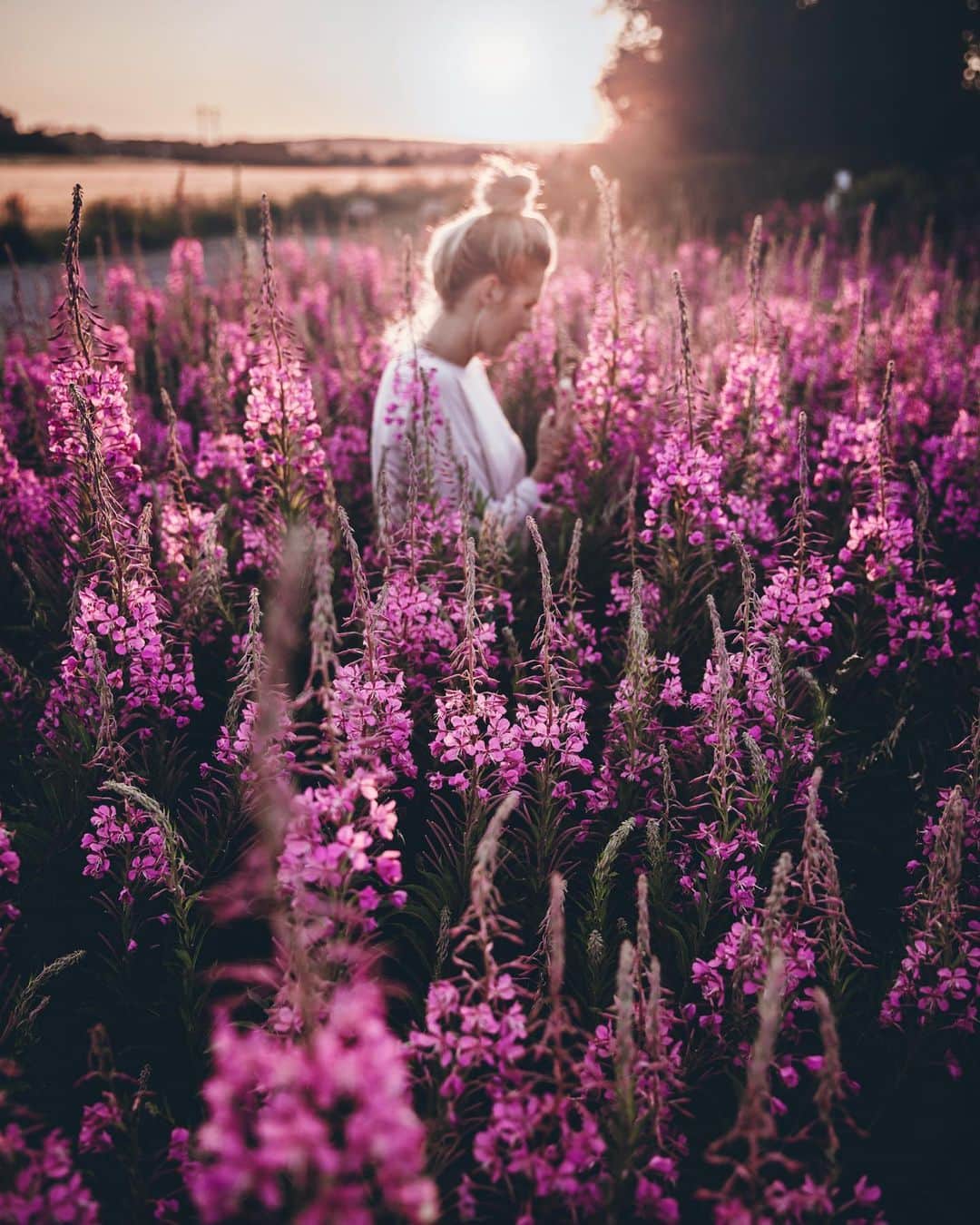 Linda Lomelinoのインスタグラム：「After an unintended Instagram break I am back with a new blogpost! This one is long overdue, it’s about what camera gear I use. I get this question a lot so I thought it would be a good idea to dedicate a whole post to it 🤗 You can find the link to the post in my profile or on callmecupcake.se. Let me know if you enjoy these kinds of posts, and what else you want to know more about 😚」