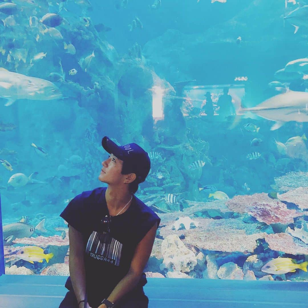 大倉士門さんのインスタグラム写真 - (大倉士門Instagram)「こないだ 久しぶりの鳥羽水族館へ。🐟 小学校の修学旅行で行き、 三重に行くたびに必ず行く鳥羽水族館🐠 やっぱり海大好き。魚大好き。」7月7日 22時23分 - shimonsmile