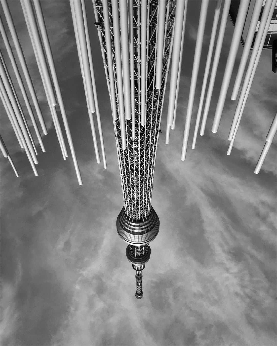 のインスタグラム：「The sky falls. 小暑な七夕。  #ShotoniPhone  iPhone Only  #二十四節気」