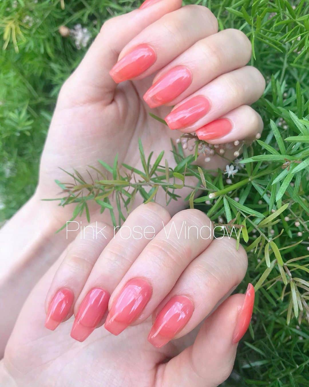 KAI32さんのインスタグラム写真 - (KAI32Instagram)「. apricot jelly🍑💥✨ . . @soniann0505 ソニアちゃんのnew nail🧡🧡🧡. . 無駄を削ぎ落としたシンプルなワンカラーデザイン。プルプルなクリアカラーが最近人気です🦋💦⛈ . . . #pink_rose_window  #pinkrosewindow」7月7日 22時37分 - kai32