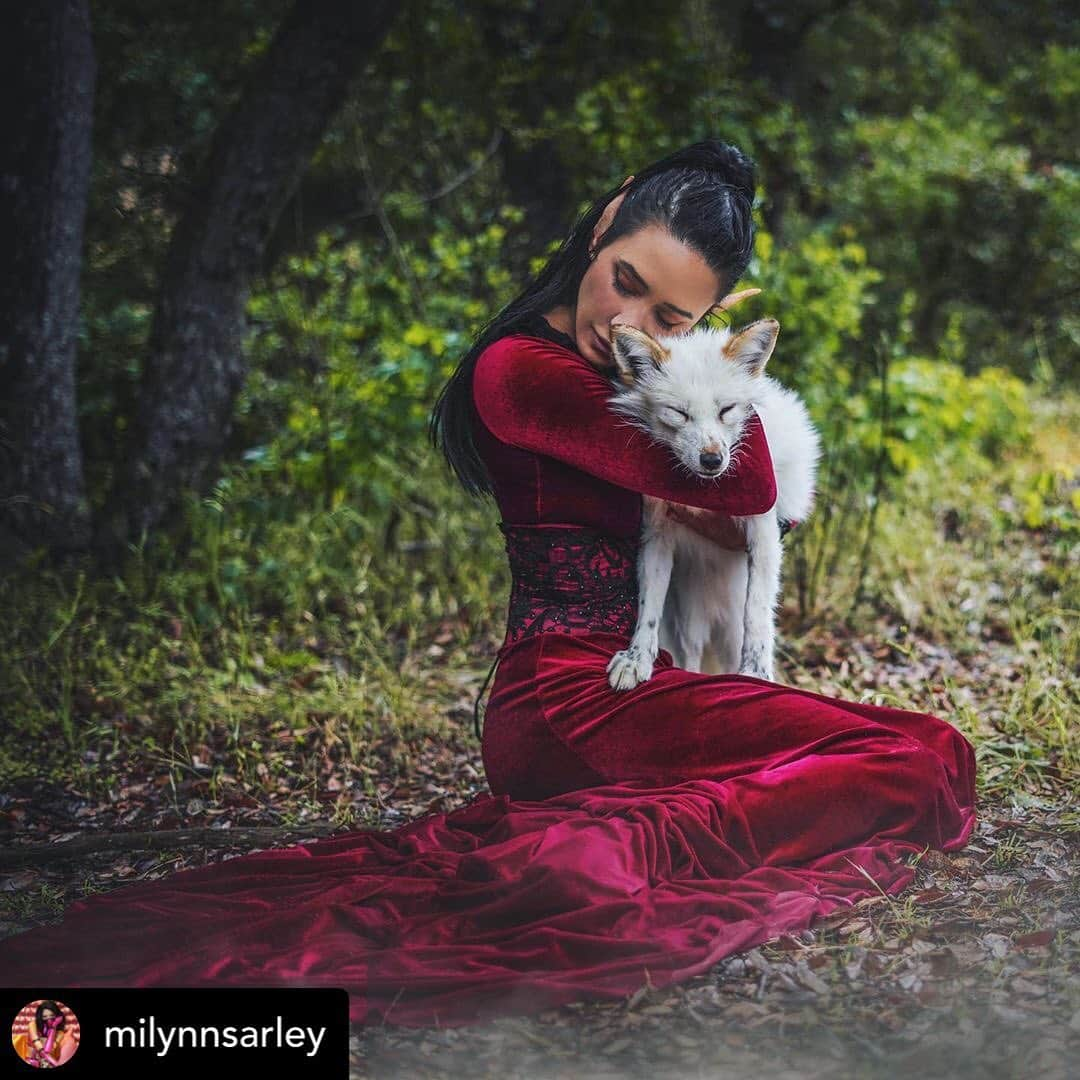 Rylaiさんのインスタグラム写真 - (RylaiInstagram)「Photoshoot day with the amazing @anabeldflux - Anabel is our preferred photographer and has been supporting us since the very beginning!!! She is family and part of our pack!! . Anabel will be setting up additional mini photosessions - so stay tuned as these book up within hours!! . She will also be offering super mini photos with the foxes at our Grand Opening From Russia with Love Oft 5-6, 2019.  These sessions will also be limited and will book up quickly- stay tuned!! . We met Milynn during this photo shoot and she wowed is with her grace and beautiful.... these photos are absolutely stunning and show the amazing connection she had with the Ambassadors... we should have her do a video for all of our  shoots on how to take photos with foxes!! Posted @withrepost • @milynnsarley What do you think she says? Photo: @anabeldflux Gown: made by me Cute Fox: @jabcecc 🦊  She actually fell asleep in my arms during our shoot! #elf #elven #model #elfmodel #fantasymodel #whatdoesthefoxsay #fox #russiandomesticatedfox #instagood #cosplayer #dnd #dungeonsanddragons #geek #tabletopgamer #nerd #nerdgirl #foxlove」7月7日 22時53分 - jabcecc