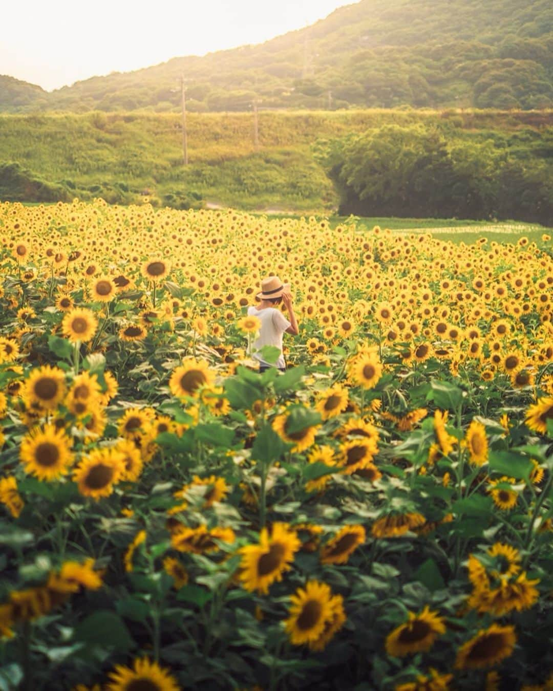 Sonoda COO Yukiyaさんのインスタグラム写真 - (Sonoda COO YukiyaInstagram)「夏が来た Summer has come  #instagram  #beautifuldestinations  #earthpix  #earthfocus  #kyotophotographer  #tokyophotographer  #proposal #proposalphotographer #tokyoproposal #kyotoproposal #proposalphotographer #prewedding #tokyoprewedding #kyotoprewedding #preweddingphotographer  #tokyopreweddingphotographer #kyotopreweddingphotographer  #wedding #tokyowedding #kyotowedding #tokyoweddingphotographer #kyotoweddingphotographer」7月7日 22時53分 - coo_travelphoto