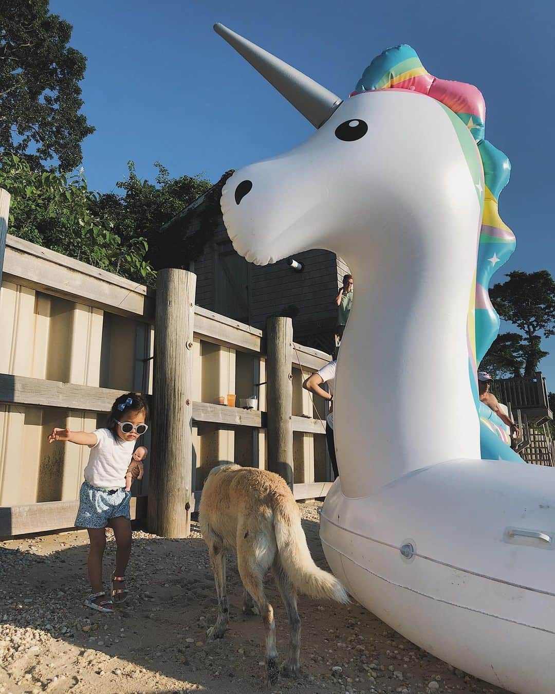 翁安芸さんのインスタグラム写真 - (翁安芸Instagram)「Biggest unicorn I’ve ever seen🦄💘💖 見たことのない大きさのユニコーン浮き輪ボート✨✨ 無事膨らませて海に浮かせました👏🏻💖💖💖 #hamptons #sunner #unicorn #ハンプトン」7月7日 22時57分 - akinyc