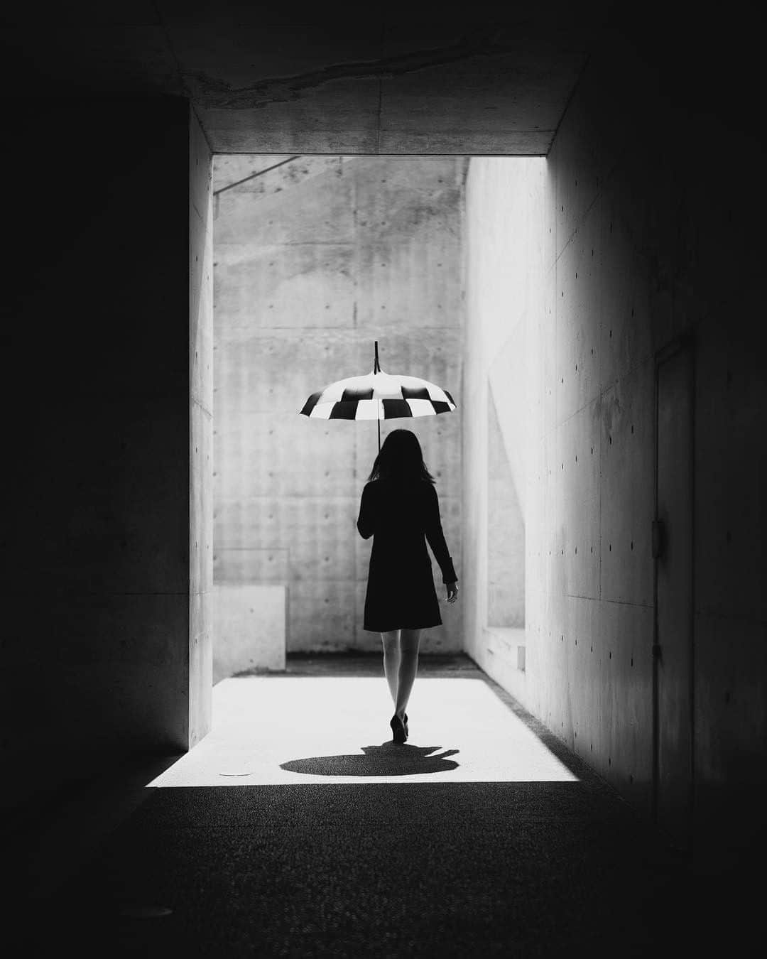 ライカのインスタグラム
