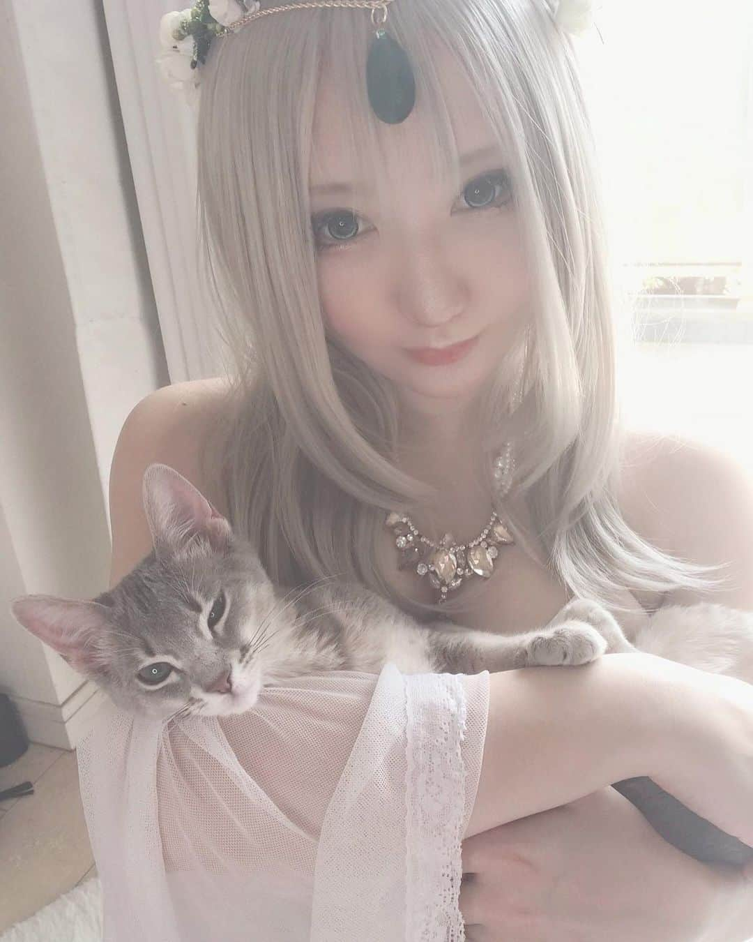 サクさんのインスタグラム写真 - (サクInstagram)「#sexy #sexycosplay#oppai#pretty #prettycosplay#sakuayaka #sakucosplayer #saku #cosplay #cosplayer」7月8日 0時35分 - cosplay_saku