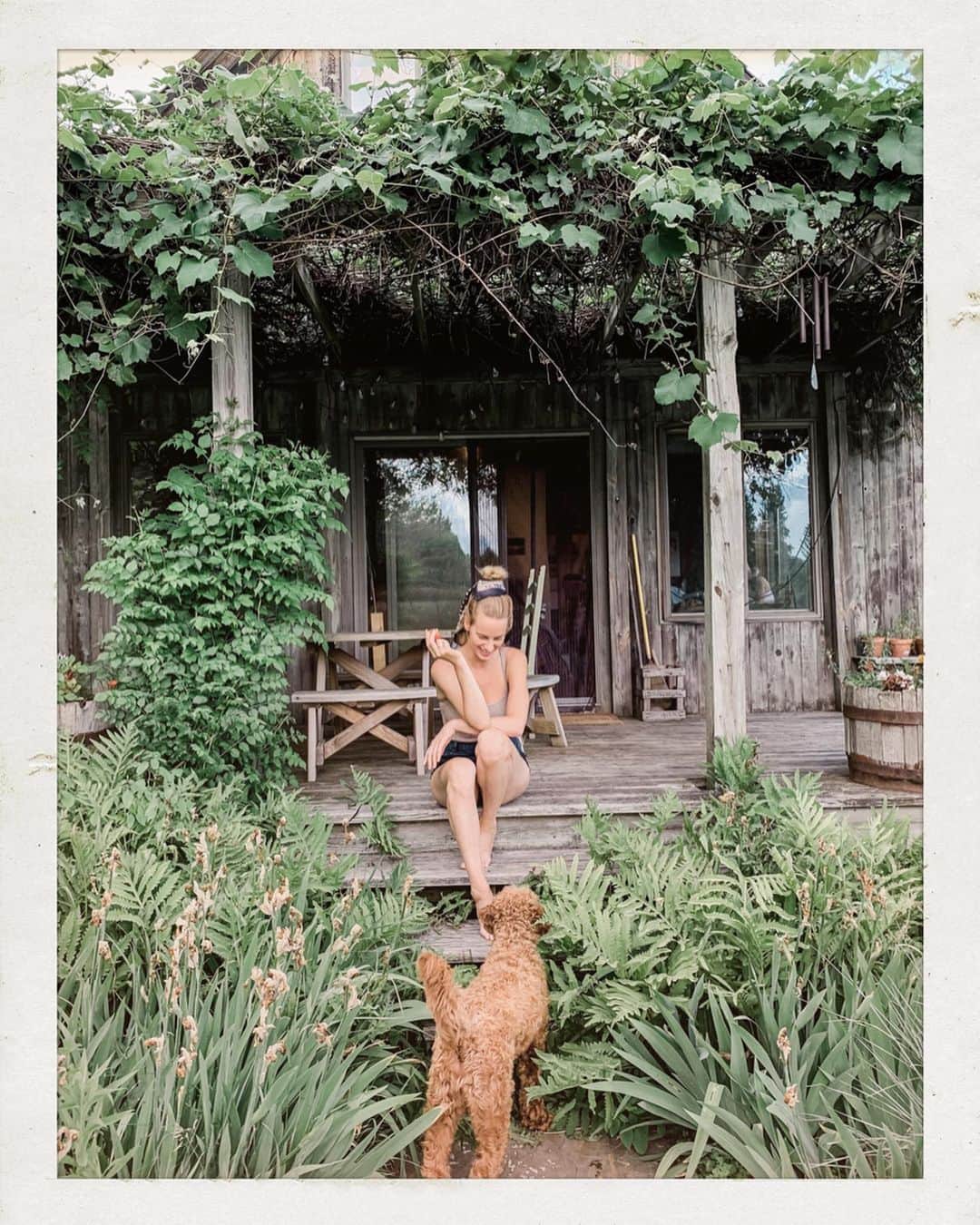サマンサウィルスのインスタグラム：「Writing books, swimming ponds, eating peaches and fending off wild (Bowie) bears. Some summer polaroids. -SWx 🍑🐻🍃」