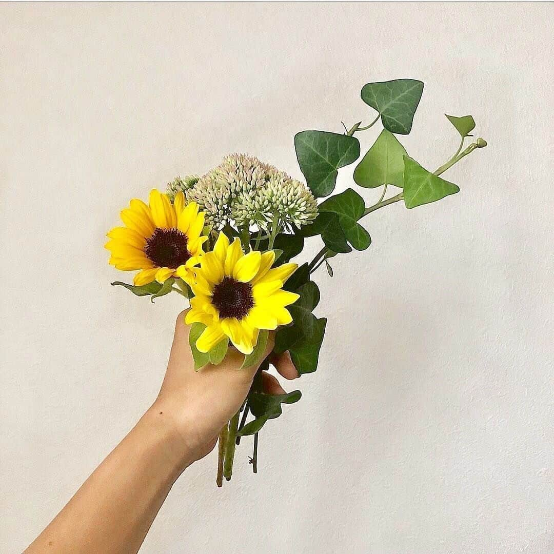 Bloomee LIFEさんのインスタグラム写真 - (Bloomee LIFEInstagram)「・⠀ 元気をもらえるレモンイエロー🌻🌻✨⠀ ⠀ ひまわりを長持ちさせる秘訣は⠀ 「浅水」で生けることです🤗⠀ ⠀ 花瓶に水を少なく生けると⠀ 茎の途中が腐りません。⠀ ⠀ お花に合ったケアの方法で⠀ 長く元気な姿をみせてもらいましょう💓⠀ ・⠀ Special Thanks Photo by⠀⠀ @pyokopyokop⠀ ・⠀ #bloomeelife#ブルーミーライフ#花のある生活#花好きな人と繋がりたい#おうち時間#花部#花写真#花が好き#花を飾る#暮らしを楽しむ#日々の暮らし#丁寧な暮らし#日々#お花のある暮らし#ナチュラル#素敵な休日#暮らしを整える#くらしのきほん#日々の暮らしを楽しむ#丁寧に暮らす#カフェ巡り#すっきり暮らす#子供部屋#シンプルに暮らす#賃貸インテリア#リビング#こどものいる暮らし#リノベーション#ひまわり#日常」7月8日 11時00分 - bloomee