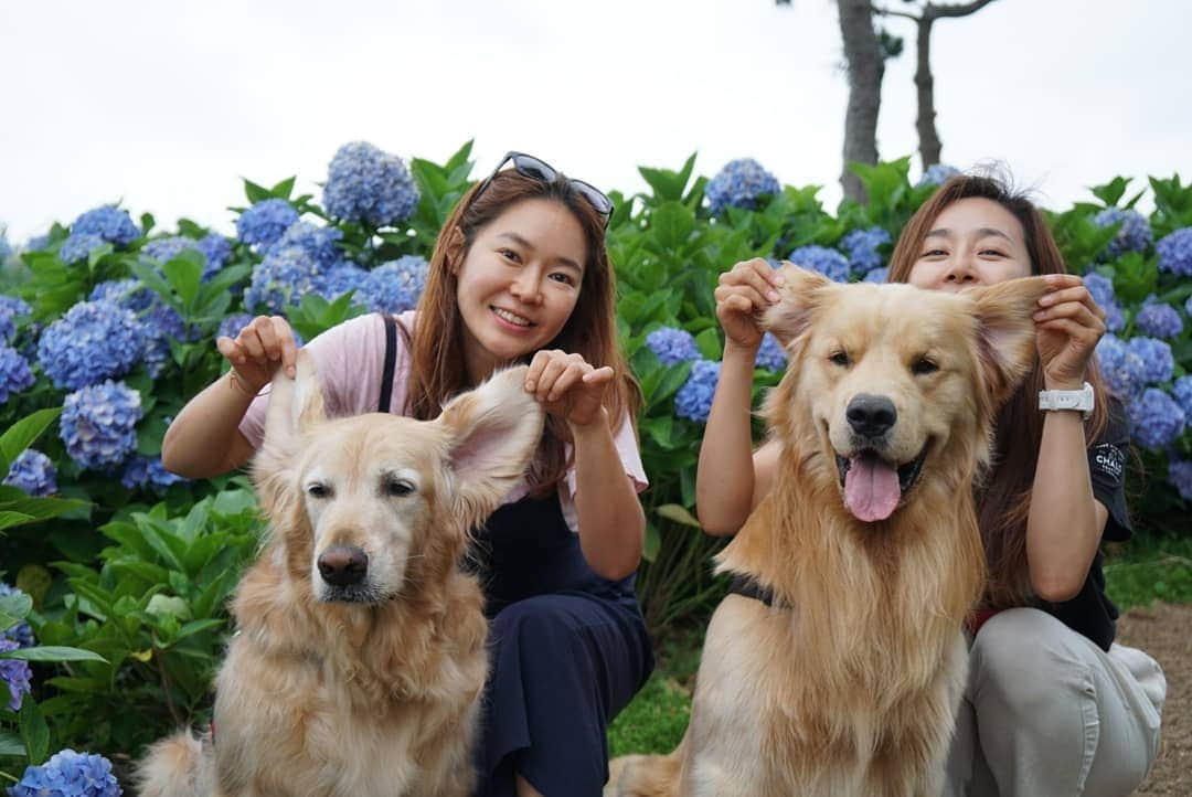 ムン・ジョンヒのインスタグラム