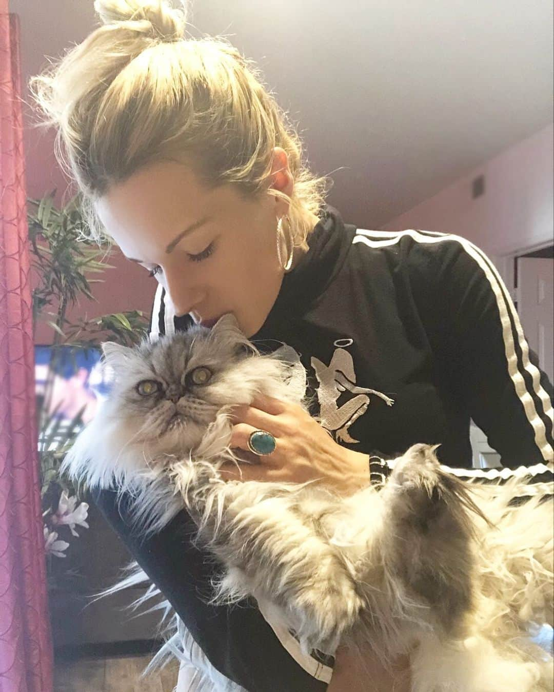 オリアンティさんのインスタグラム写真 - (オリアンティInstagram)「❤️ my little girl .. I walked 5 miles to get her treats today , I know she’s smiling on the inside ..#silverpersian #catsofinstagram」7月8日 11時34分 - iamorianthi