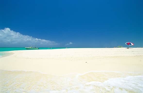 現地発信の旅行サイト「たびらい」さんのインスタグラム写真 - (現地発信の旅行サイト「たびらい」Instagram)「【沖縄・離島】 梅雨明けし、夏本番を迎えた沖縄へ遊びに行きませんか…？ 沖縄本島を楽しむのもいいけれど、今年は離島でゆっくりと“島時間”を過ごすのもいいですね♪  たびらい沖縄では「一生に一度は行ってみたい！沖縄の離島ビーチ7選」をピックアップしているので、ぜひ旅の参考にしてみてくださいね♪ : #たびらい #tabirai #たびらい沖縄 #ローカル旅行 #旅行好き #旅行好きな人と繋がりたい #旅行 #travelgram #女子旅 #travel #沖縄県 #沖縄 #ビーチ #海 #beach #夏 #summer #travelgirls #一生に一度 #行きたい #沖縄好き #沖縄病 #沖縄いきたい #夏はこれから #沖縄観光 #沖縄の海 #青い海 #離島 #海が好き #okinawatrip」7月8日 11時56分 - tabirai