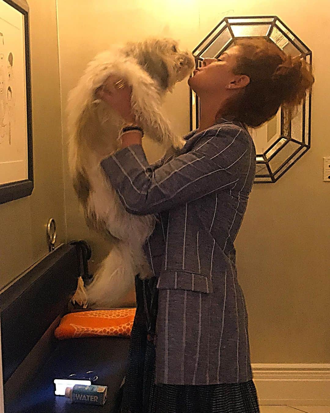 デブラ・メッシングさんのインスタグラム写真 - (デブラ・メッシングInstagram)「Less than 24 hours ago. Back from Nantucket. #henry #kissingvideo #dogsofinstagram #doglove」7月8日 3時14分 - therealdebramessing