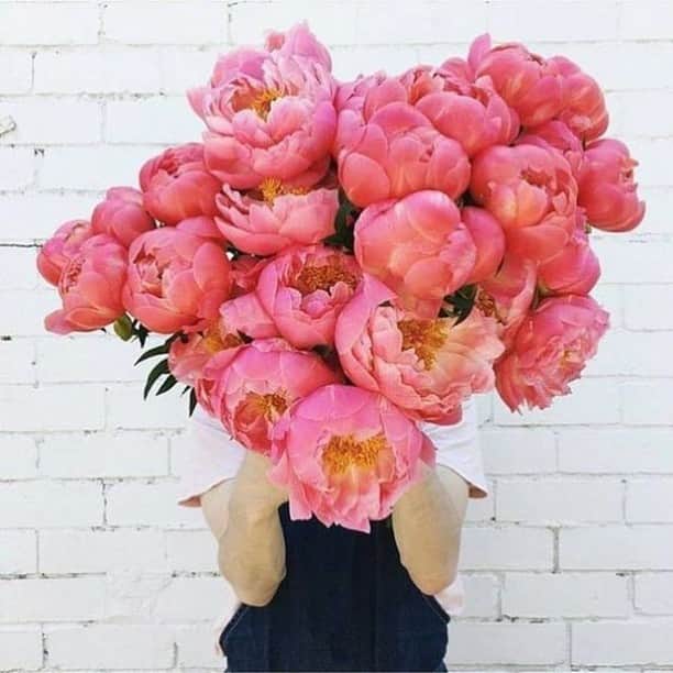 チェイサーのインスタグラム：「tag your bff to send a virtual bouquet 💐💕 #chaserbrand #viapinterest」